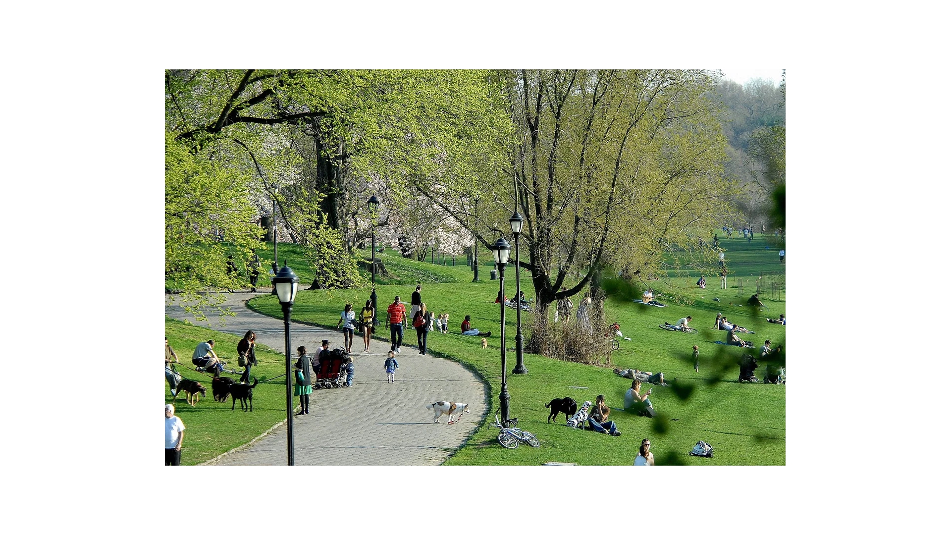 #2 photo, 1042 PRESIDENT Street, 브루클린 Crown Heights , NY 11225