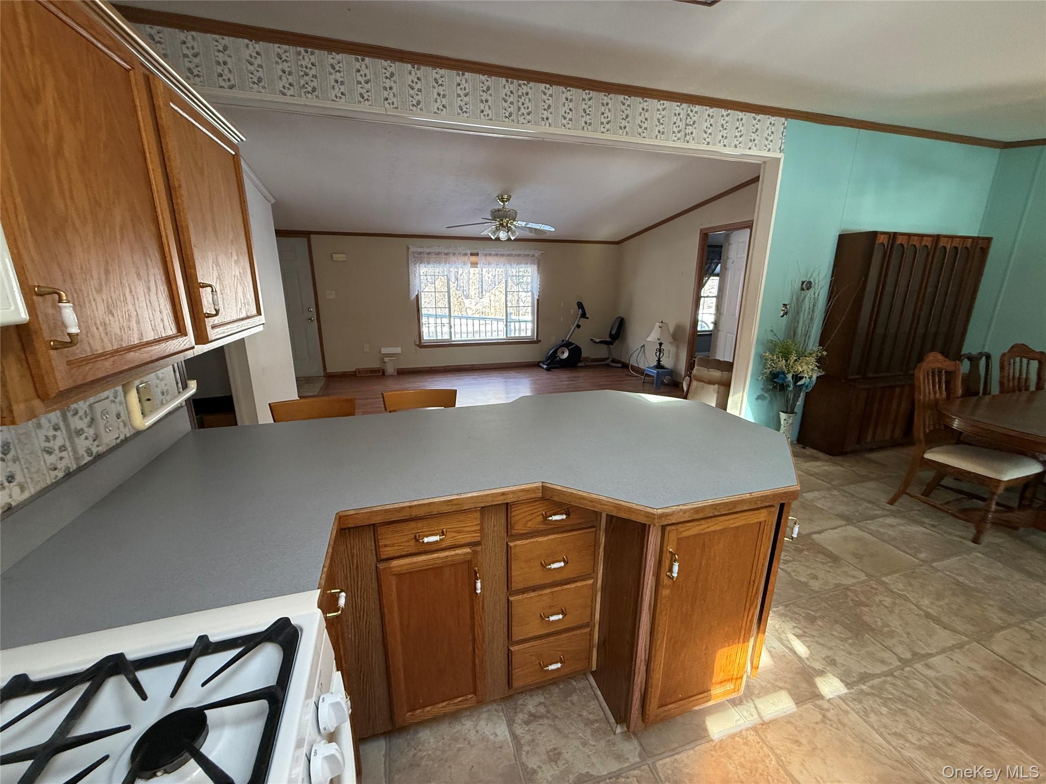 #5 photo, 217 Brittany Terrace, Rock Tavern , NY 12575