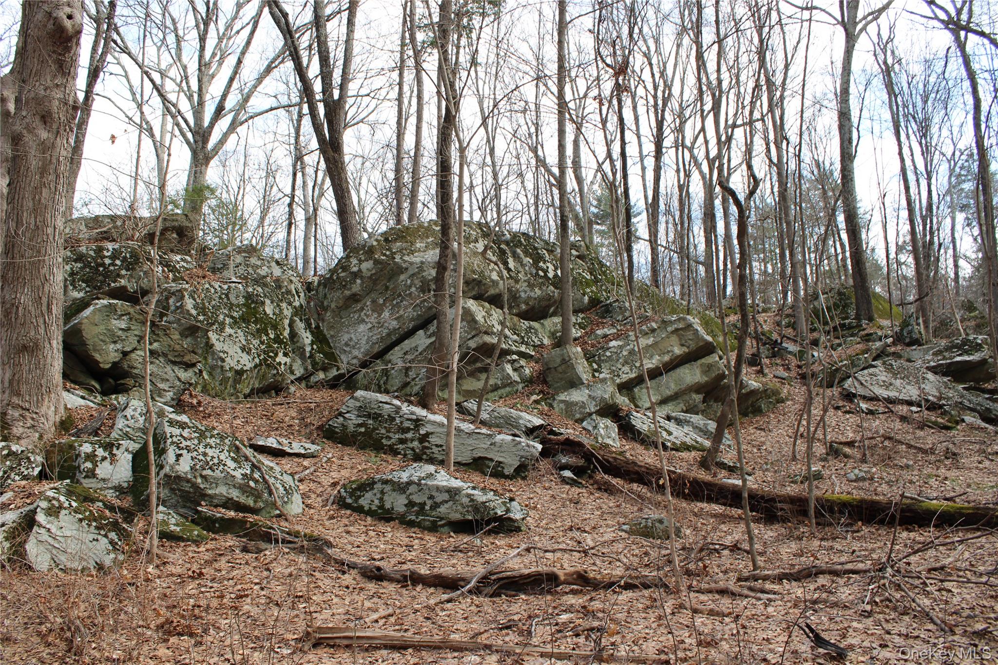 #10 photo, 19 S Cross Road, 뉴욕주 Staatsburg , NY 12580