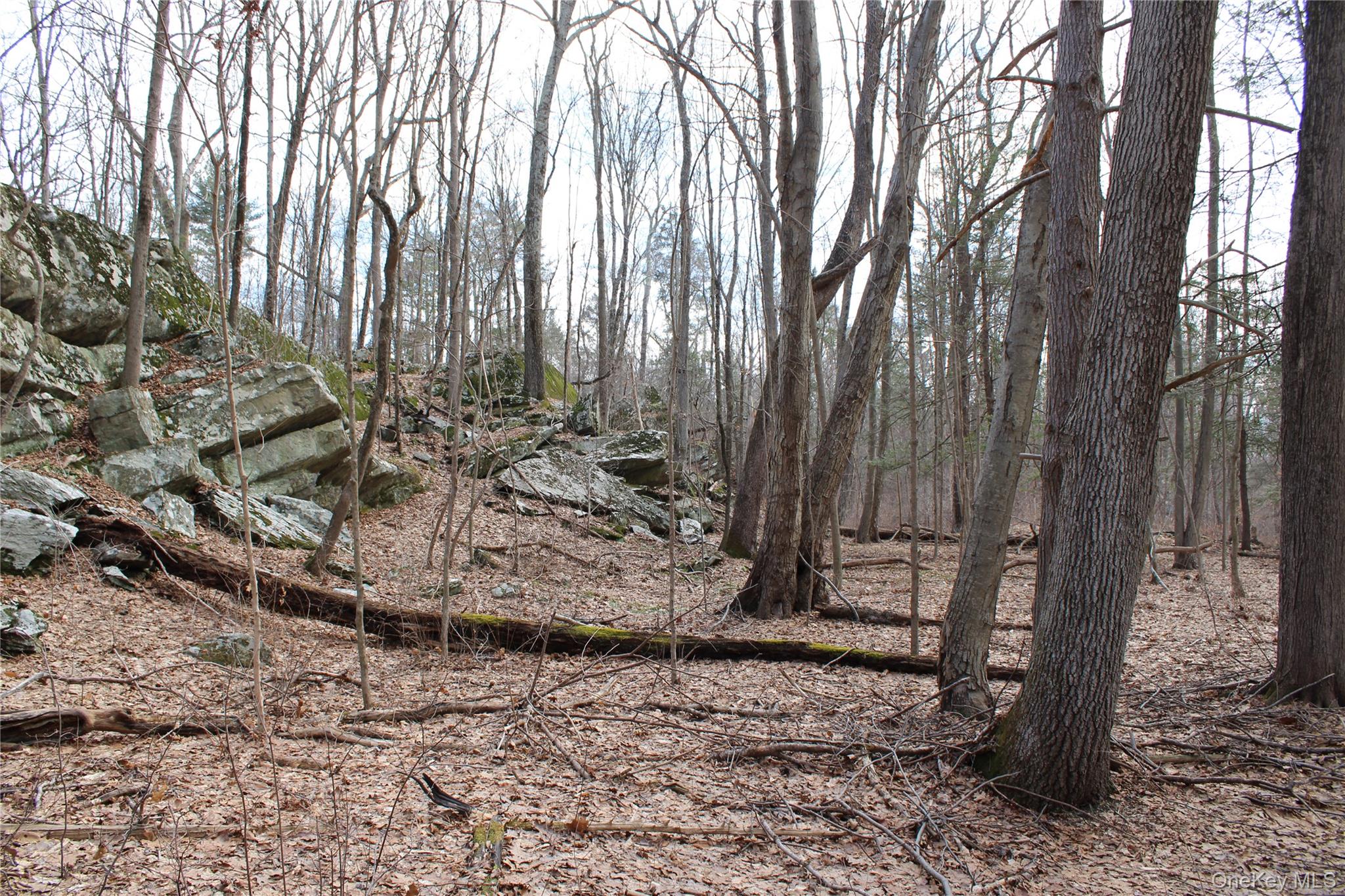 #11 photo, 19 S Cross Road, 뉴욕주 Staatsburg , NY 12580