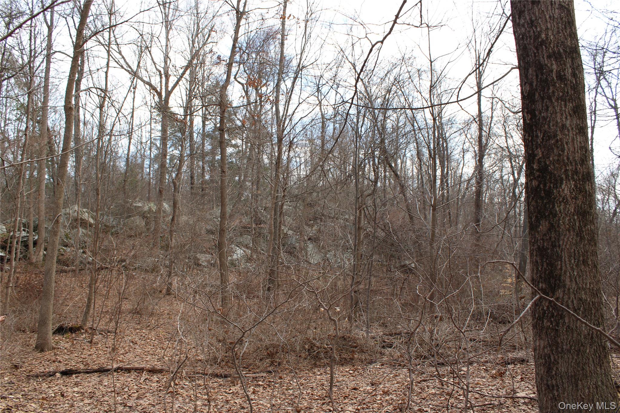 #12 photo, 19 S Cross Road, 뉴욕주 Staatsburg , NY 12580