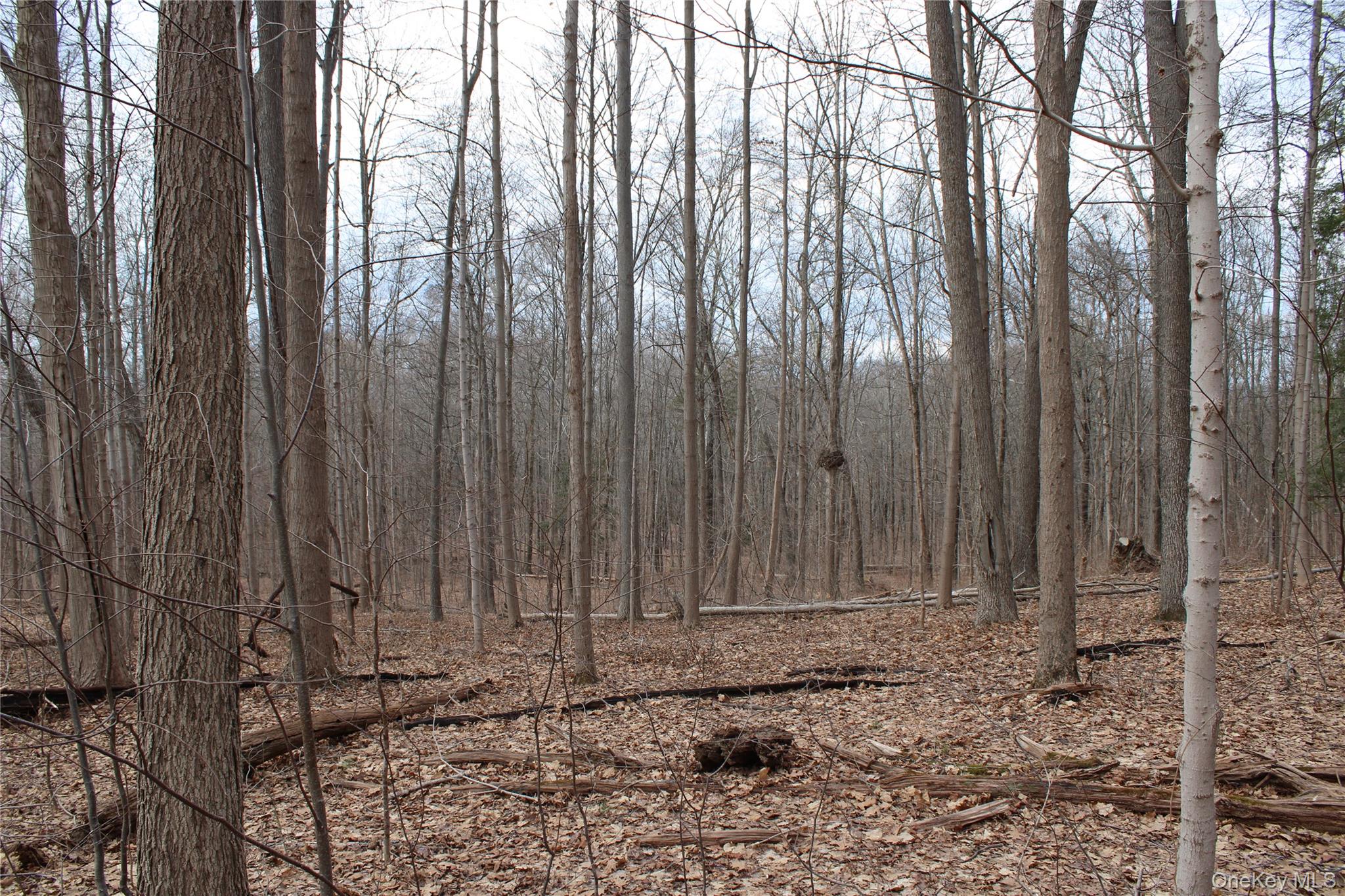 #13 photo, 19 S Cross Road, 뉴욕주 Staatsburg , NY 12580