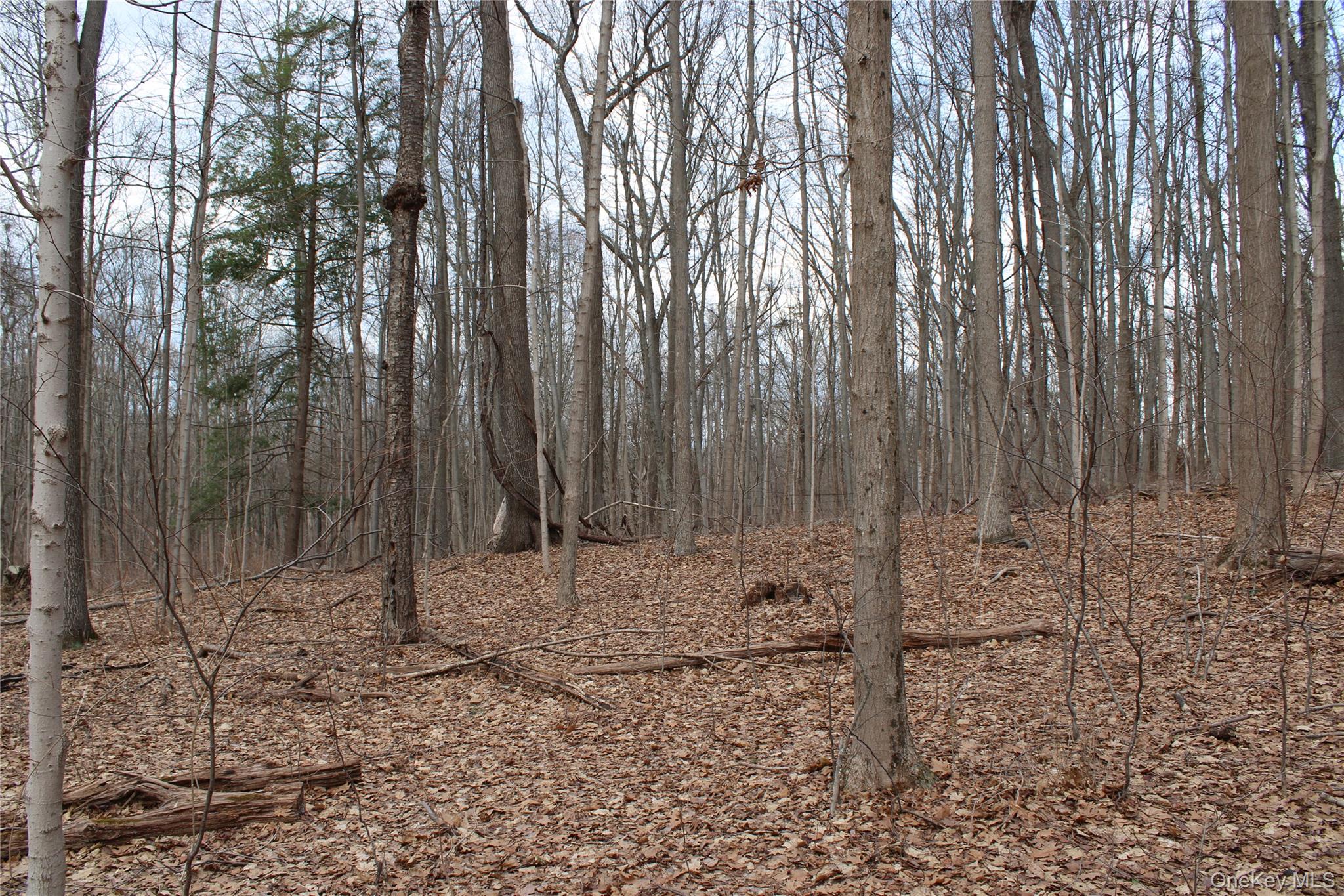 #14 photo, 19 S Cross Road, 뉴욕주 Staatsburg , NY 12580