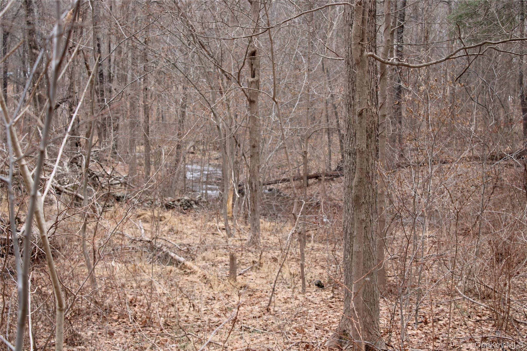 #15 photo, 19 S Cross Road, 뉴욕주 Staatsburg , NY 12580