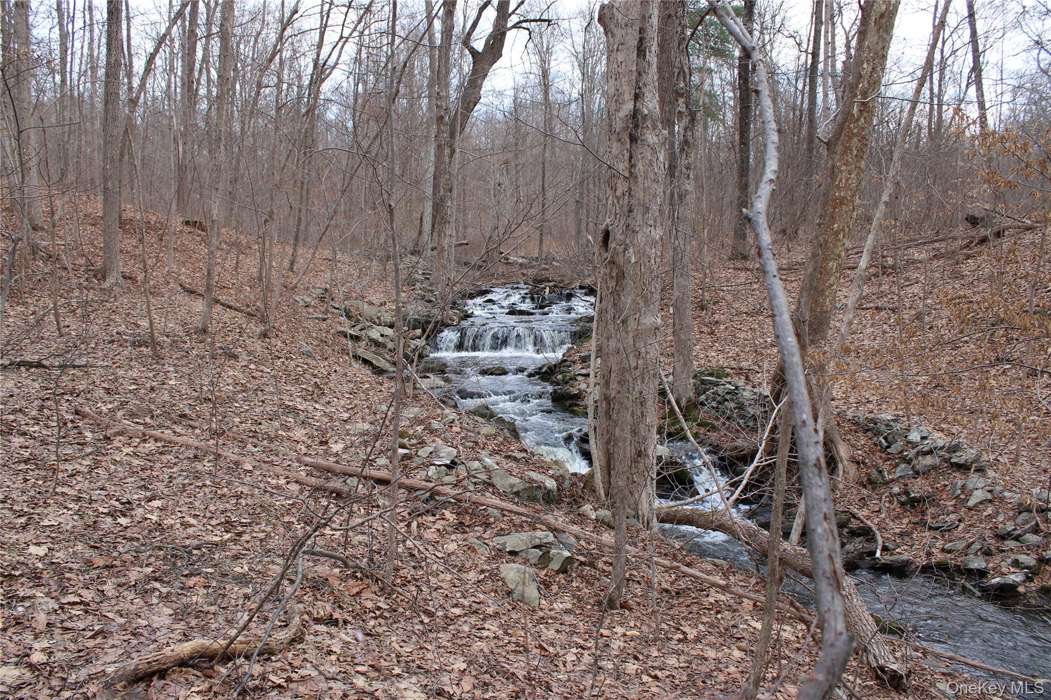 #16 photo, 19 S Cross Road, 뉴욕주 Staatsburg , NY 12580