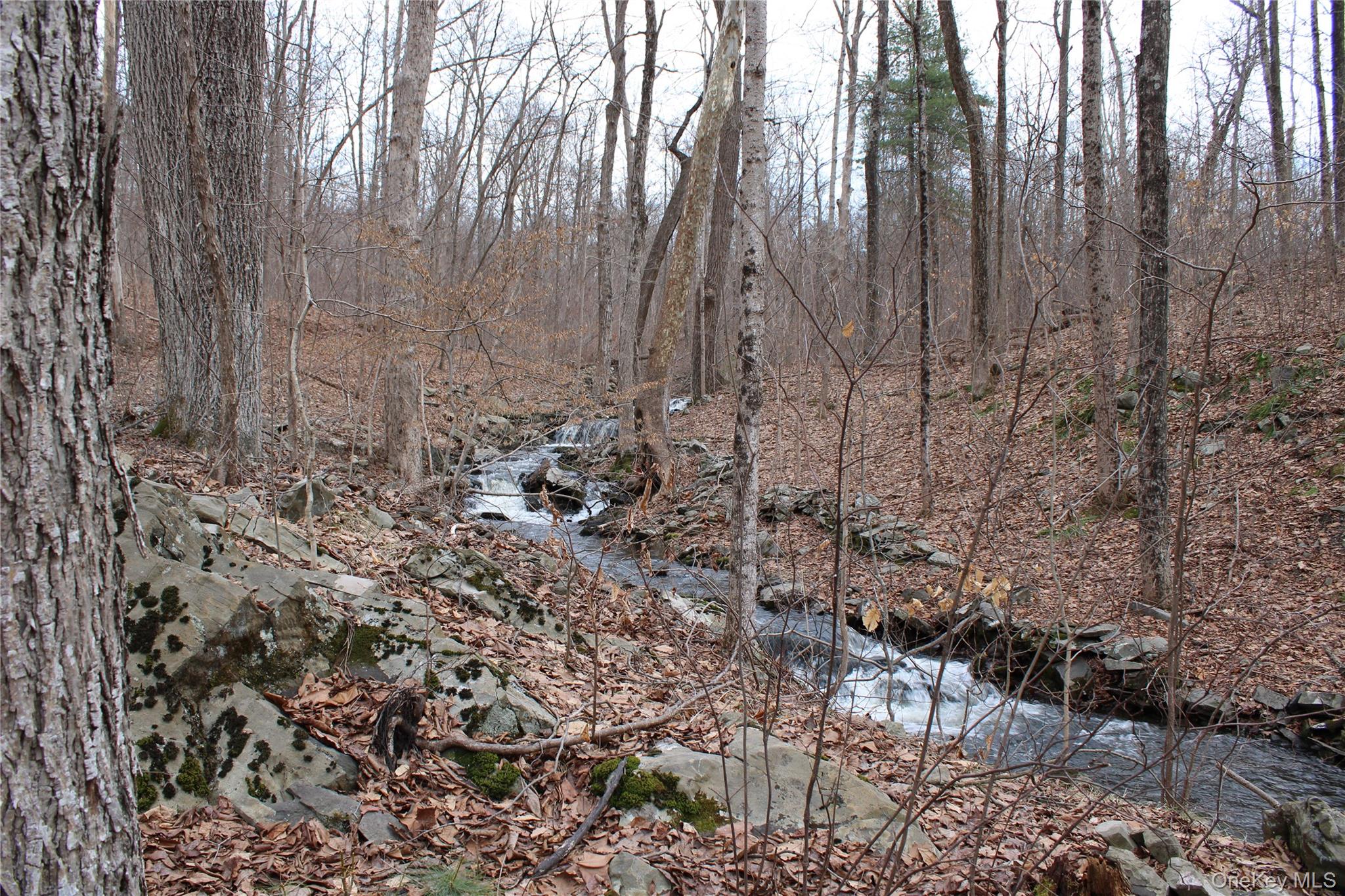 #17 photo, 19 S Cross Road, 뉴욕주 Staatsburg , NY 12580