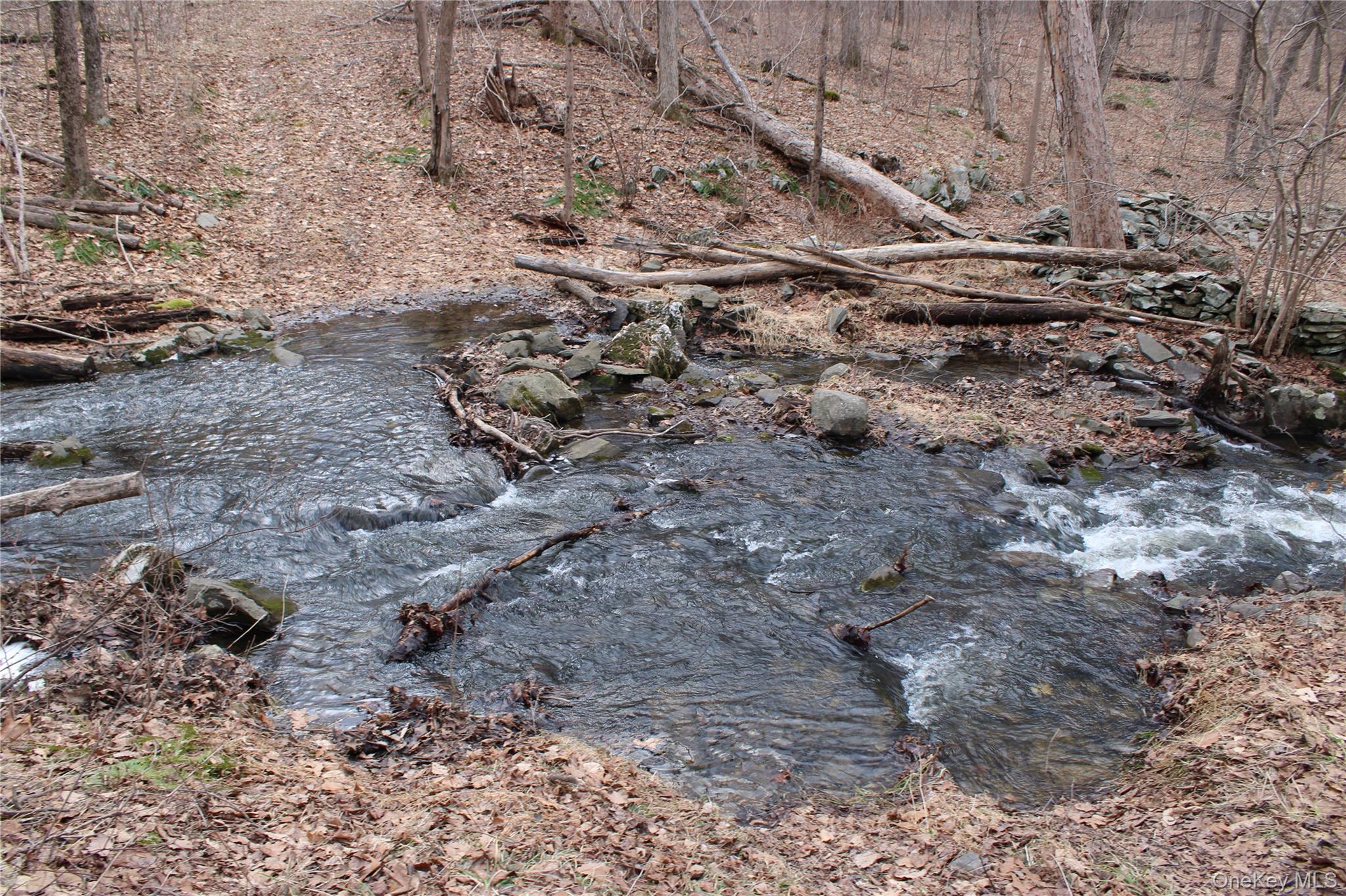 #18 photo, 19 S Cross Road, 뉴욕주 Staatsburg , NY 12580