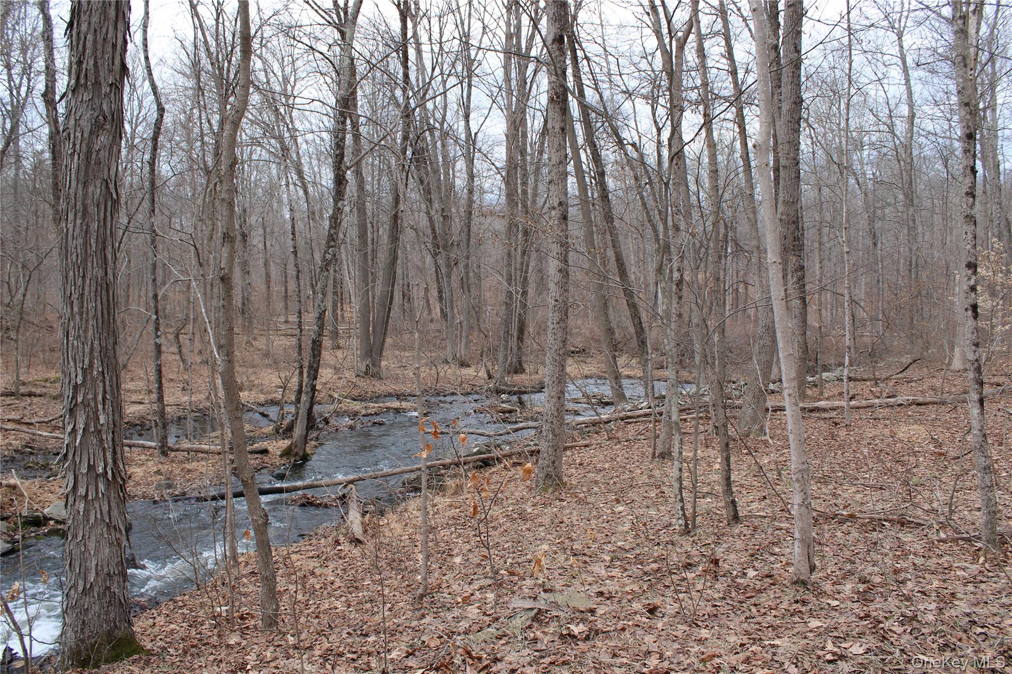 #19 photo, 19 S Cross Road, 뉴욕주 Staatsburg , NY 12580