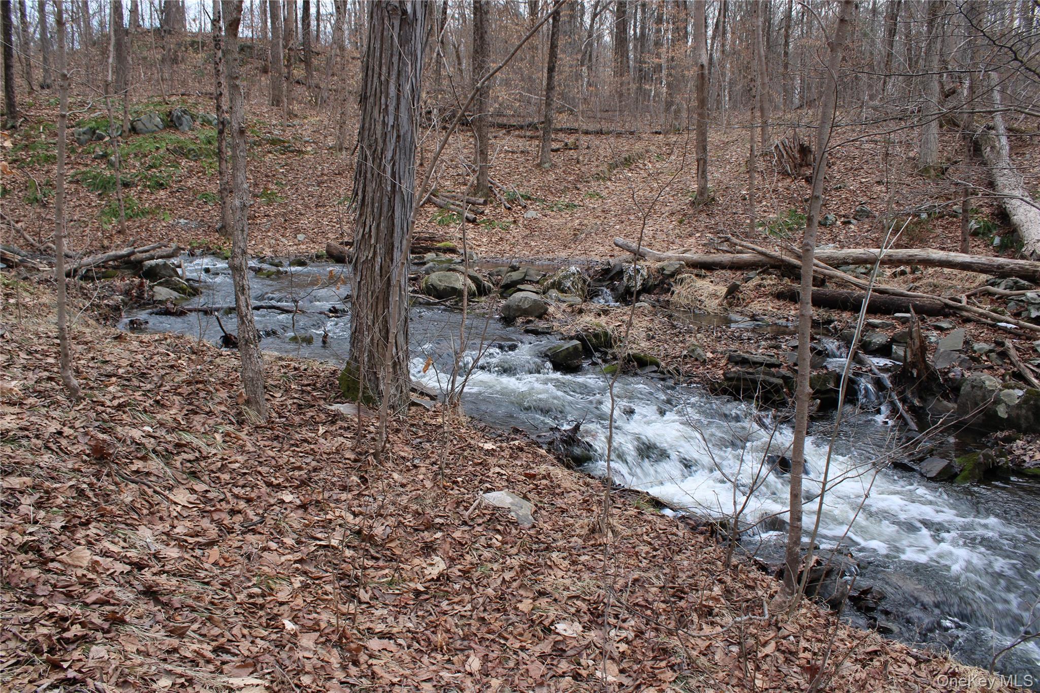 #20 photo, 19 S Cross Road, 뉴욕주 Staatsburg , NY 12580