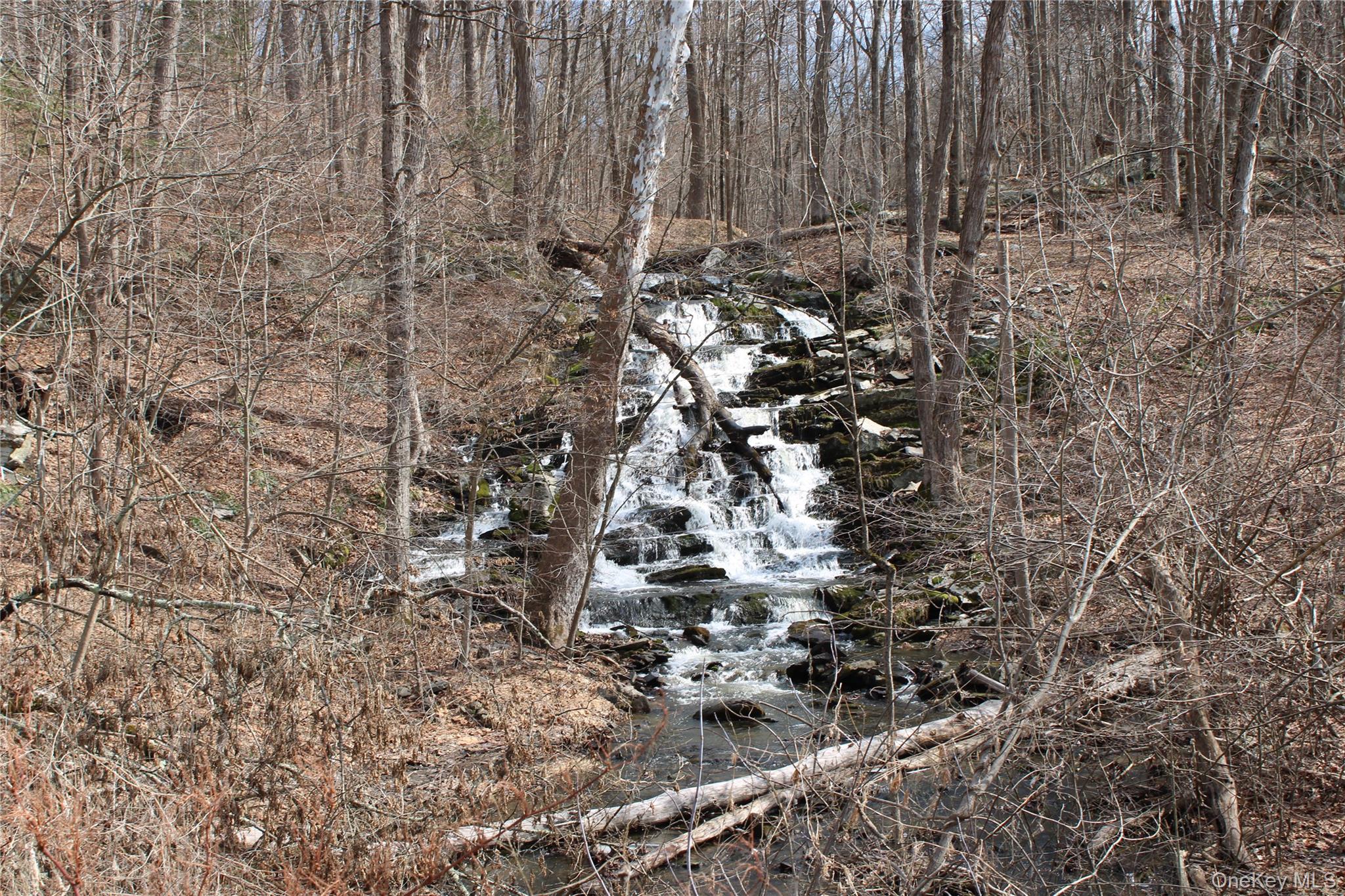 #3 photo, 19 S Cross Road, 뉴욕주 Staatsburg , NY 12580