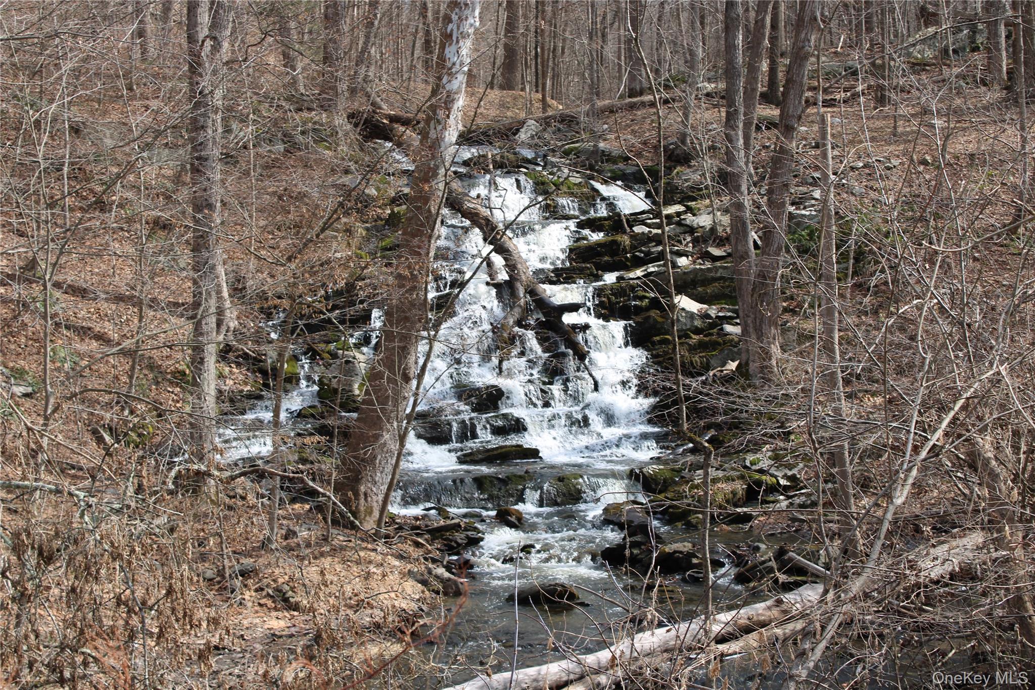 #5 photo, 19 S Cross Road, 뉴욕주 Staatsburg , NY 12580