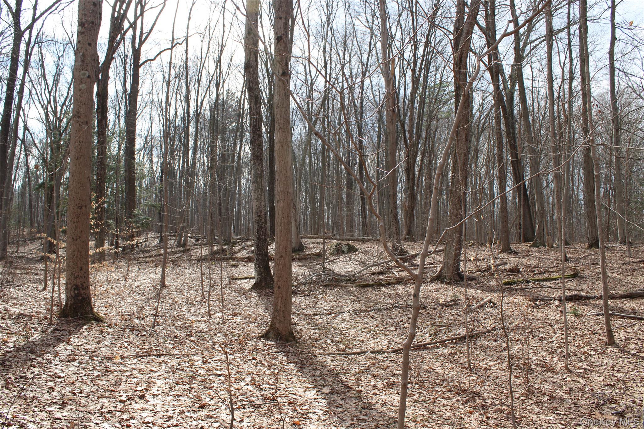 #6 photo, 19 S Cross Road, 뉴욕주 Staatsburg , NY 12580