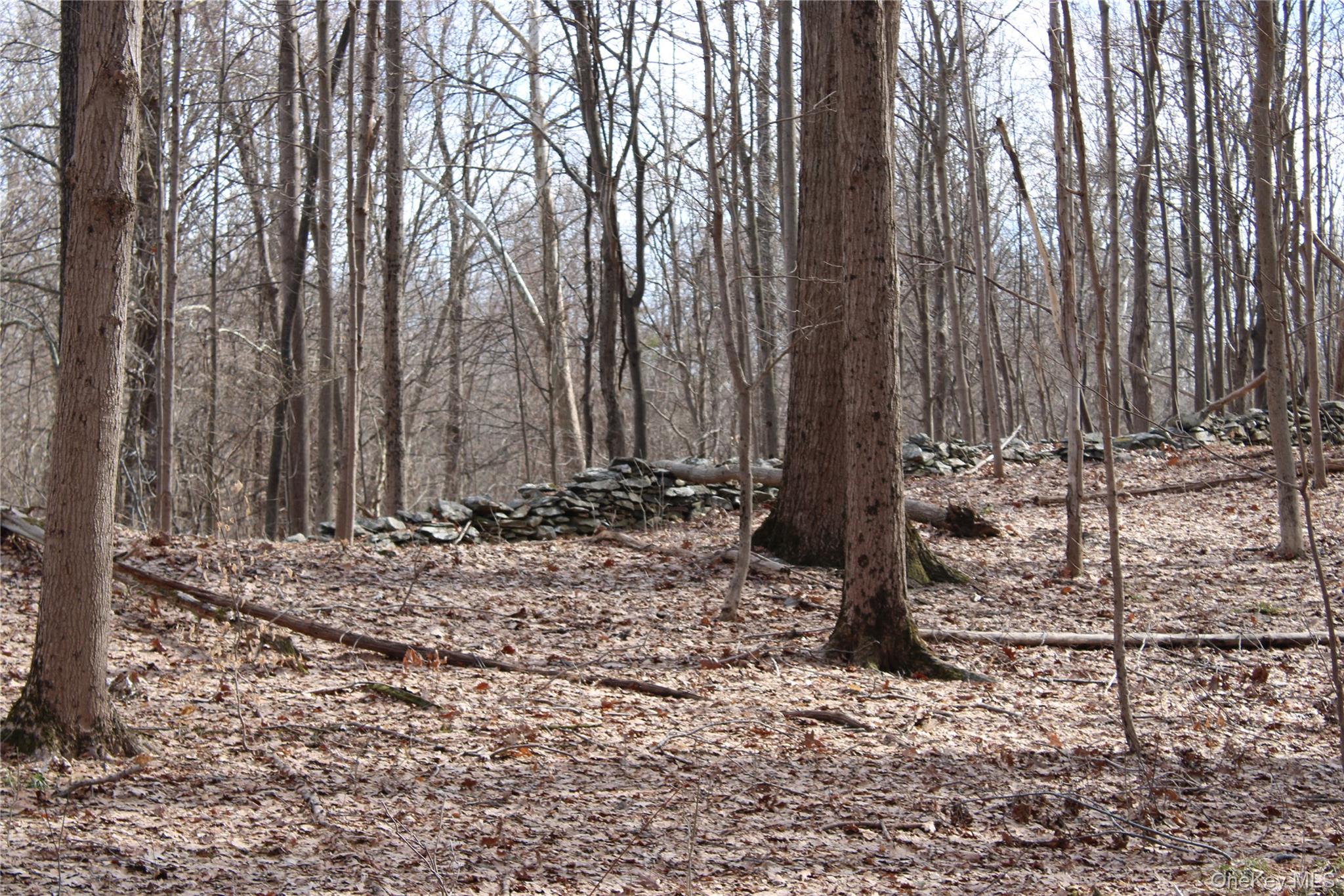 #7 photo, 19 S Cross Road, 뉴욕주 Staatsburg , NY 12580