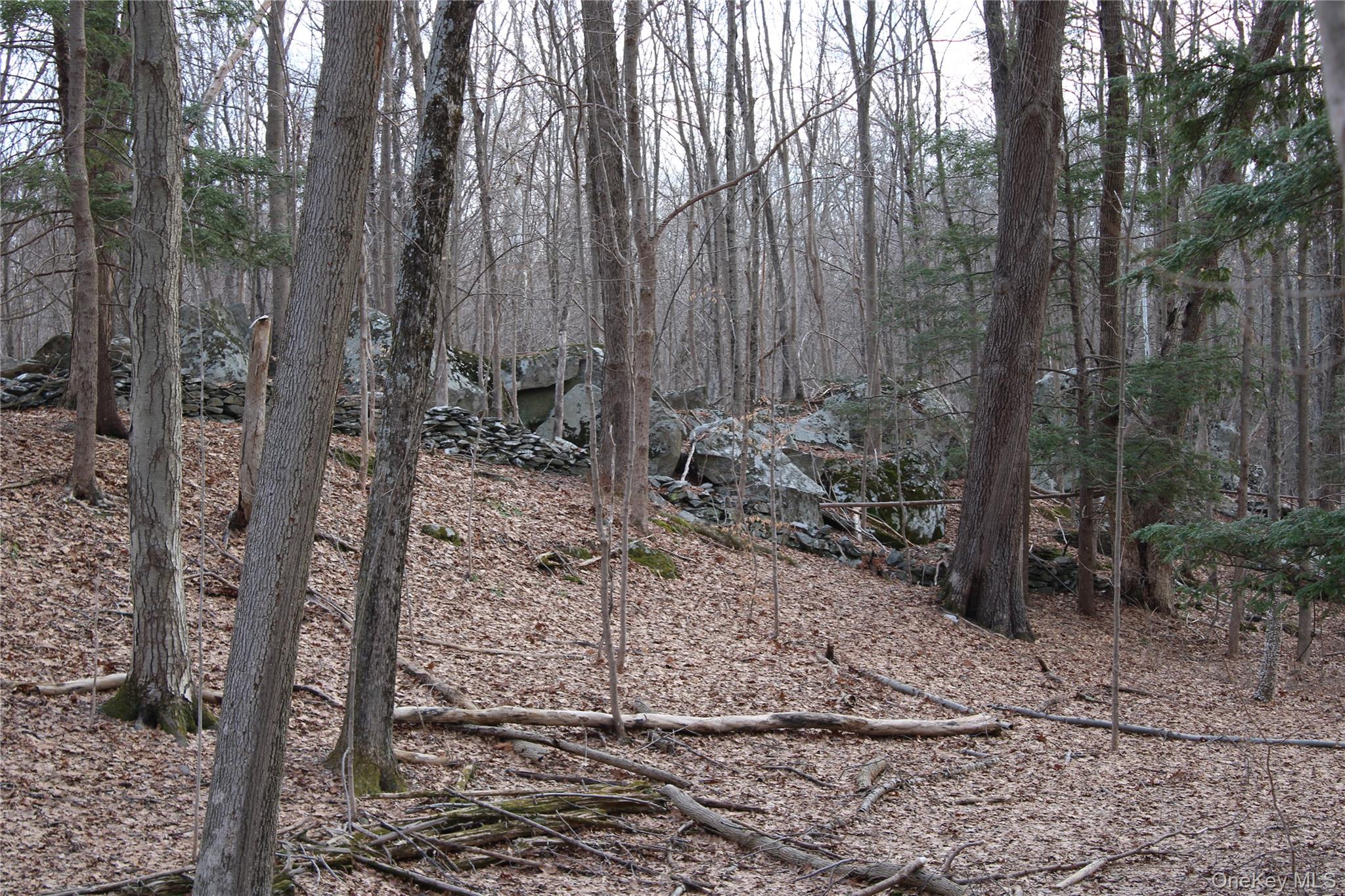 #8 photo, 19 S Cross Road, 뉴욕주 Staatsburg , NY 12580