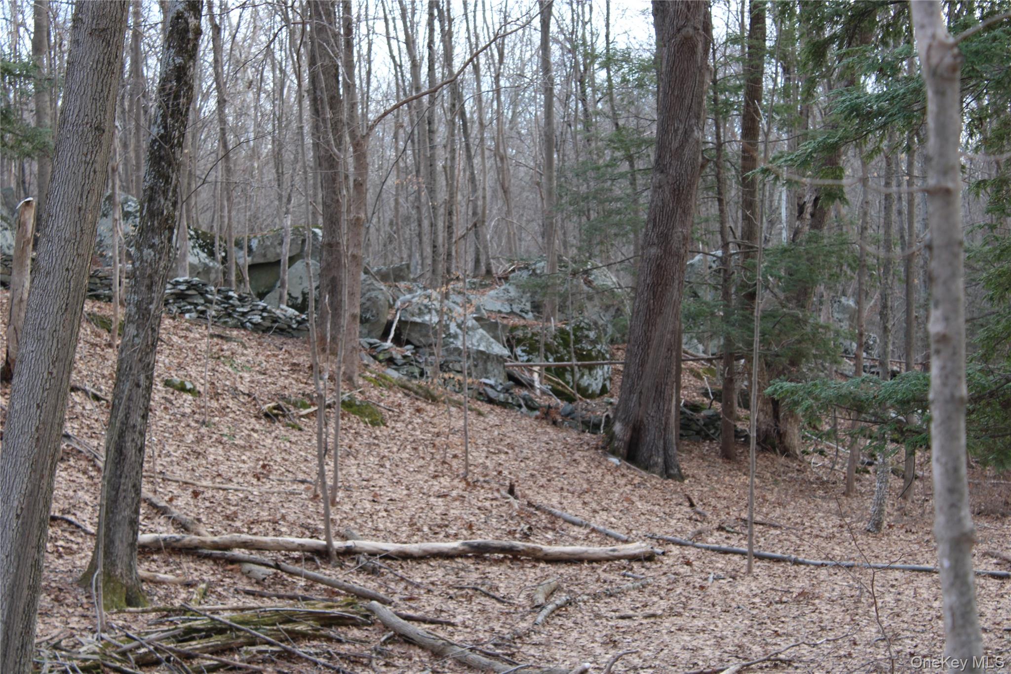 #9 photo, 19 S Cross Road, 뉴욕주 Staatsburg , NY 12580