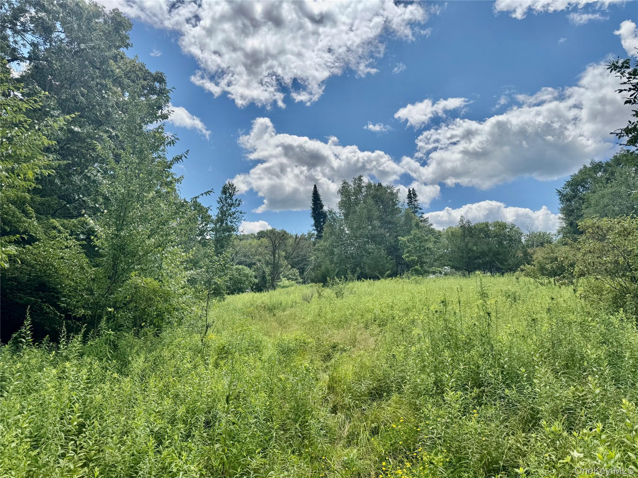 #20 photo, 64 Homestead Lane, Otisville , NY 10963