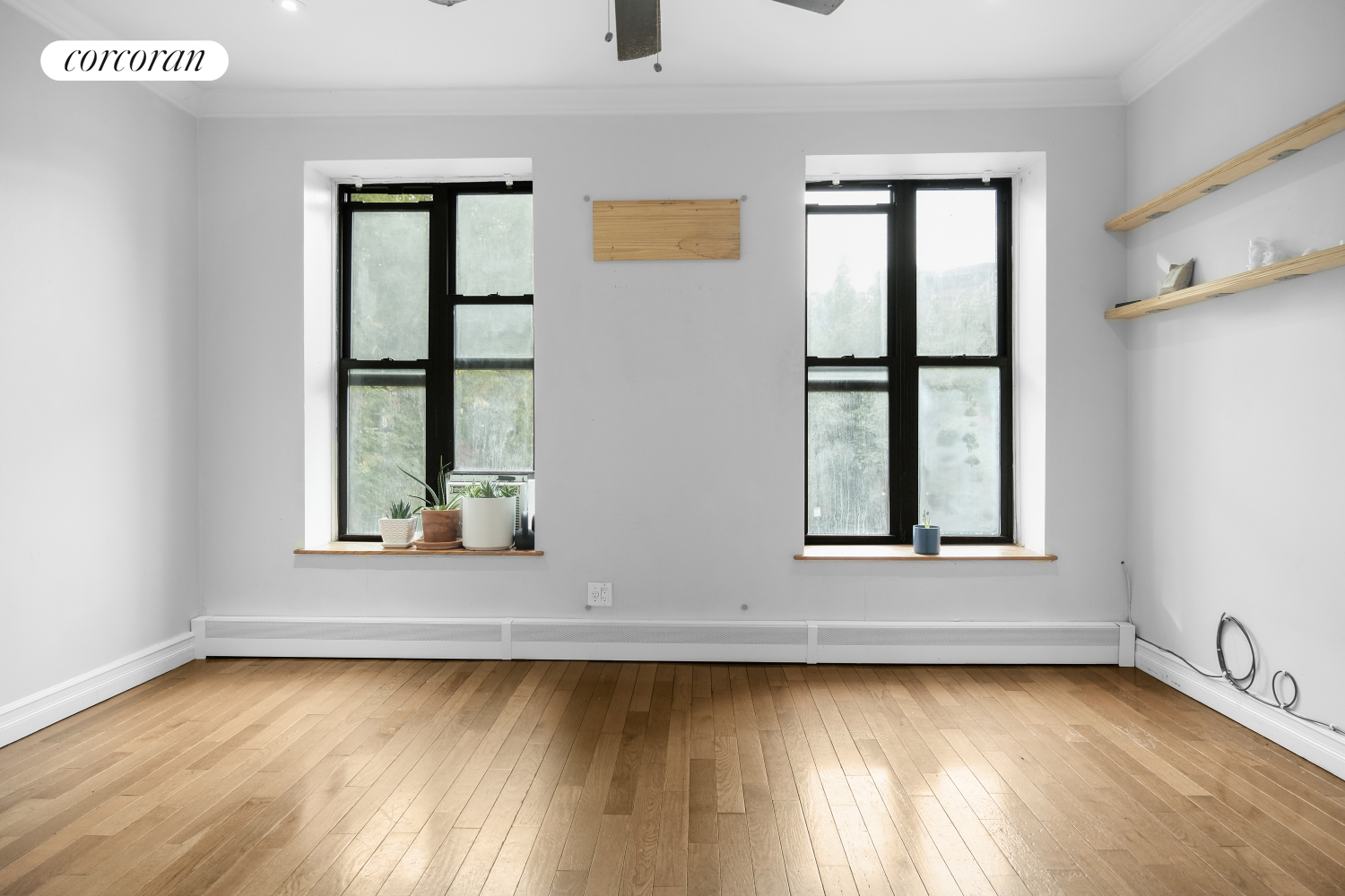 #13 photo, 255 CLIFTON Place, Bedford-Stuyvesant , NY 11216