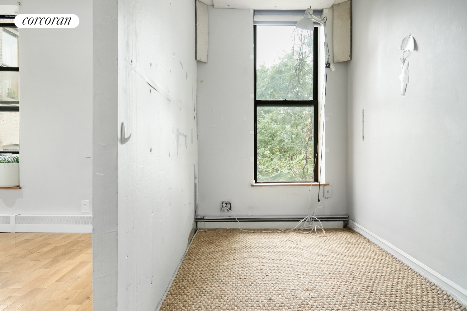 #17 photo, 255 CLIFTON Place, Bedford-Stuyvesant , NY 11216