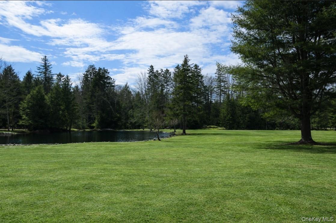 #4 photo, 698 Cooley Road, Parksville , NY 12768