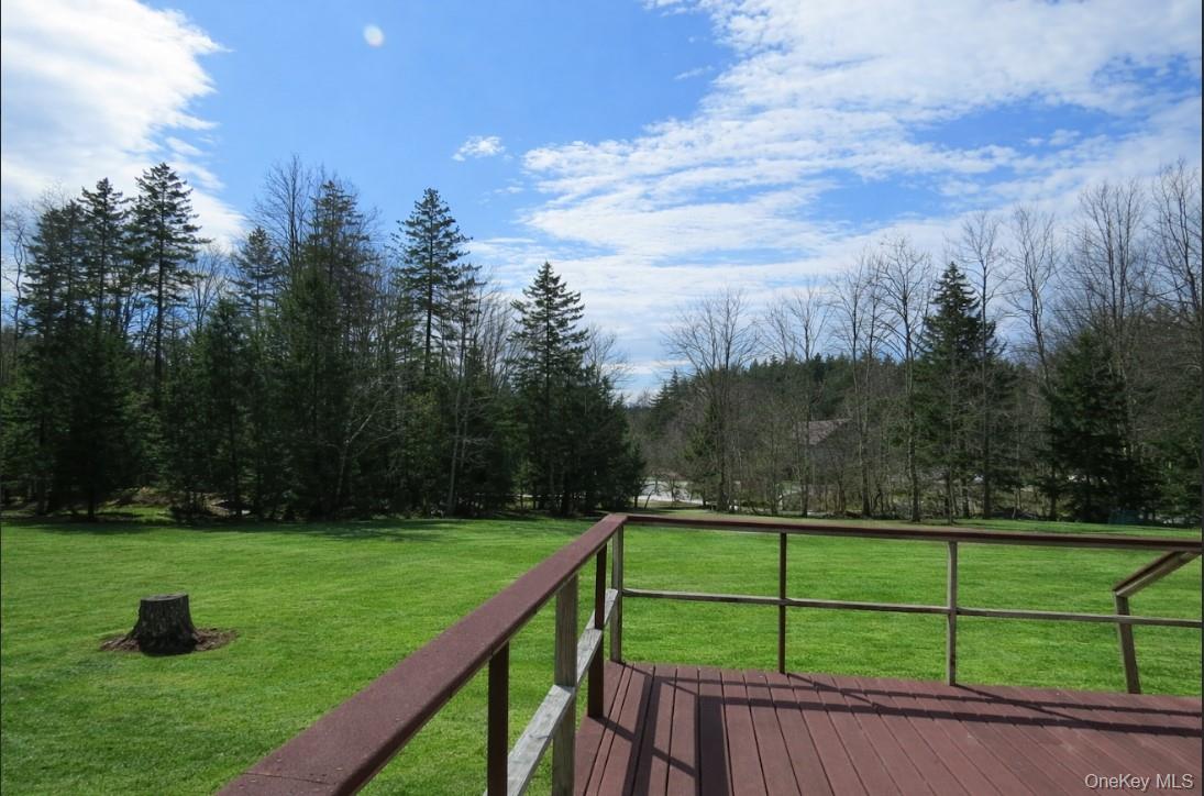 #5 photo, 698 Cooley Road, Parksville , NY 12768