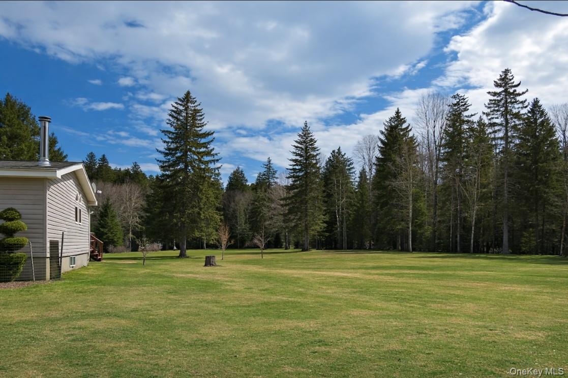 #6 photo, 698 Cooley Road, Parksville , NY 12768