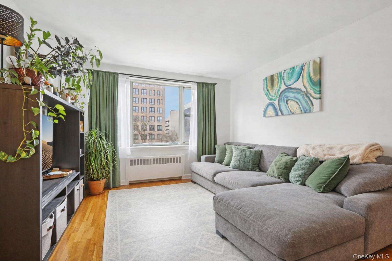 #20 photo, 30 N Broadway, 紐約州 White Plains , NY 10601