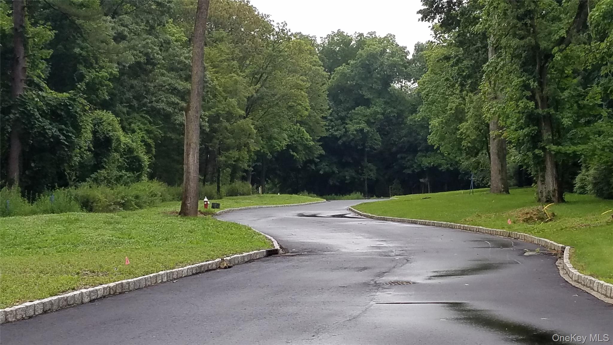 #4 photo, 170 Hegemans Lane, ناسو Old Brookville , NY 11545