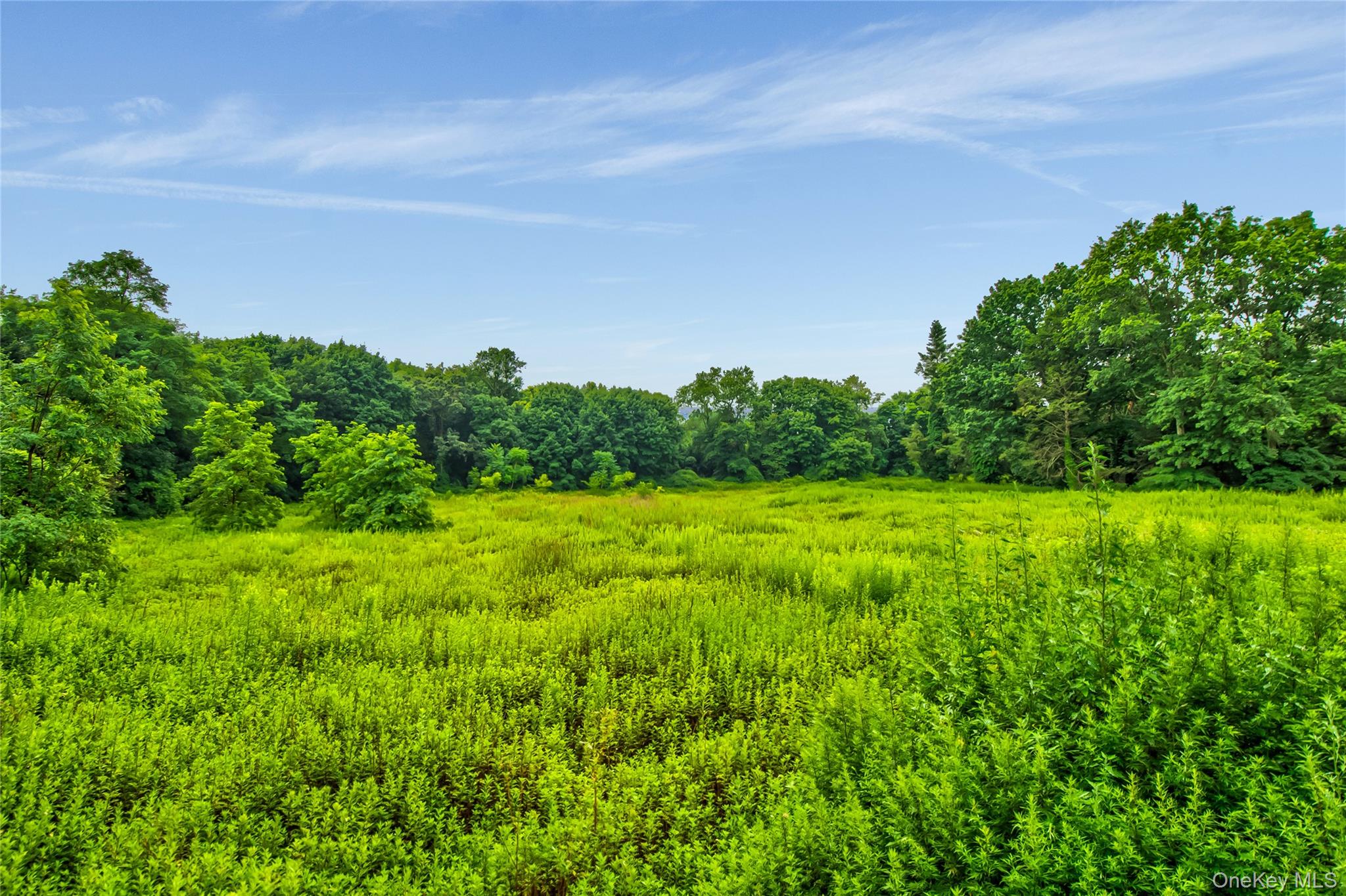 #5 photo, 170 Hegemans Lane, ناسو Old Brookville , NY 11545