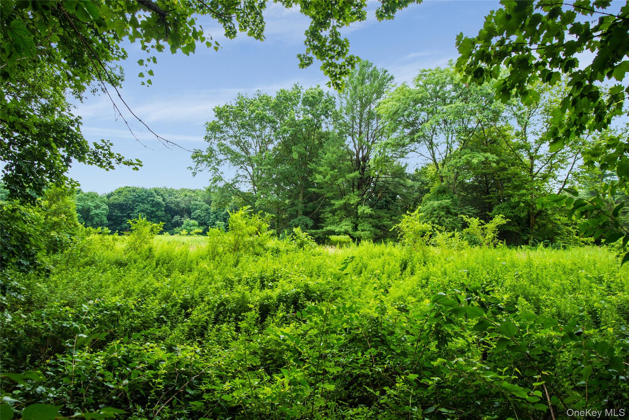 #6 photo, 170 Hegemans Lane, ناسو Old Brookville , NY 11545