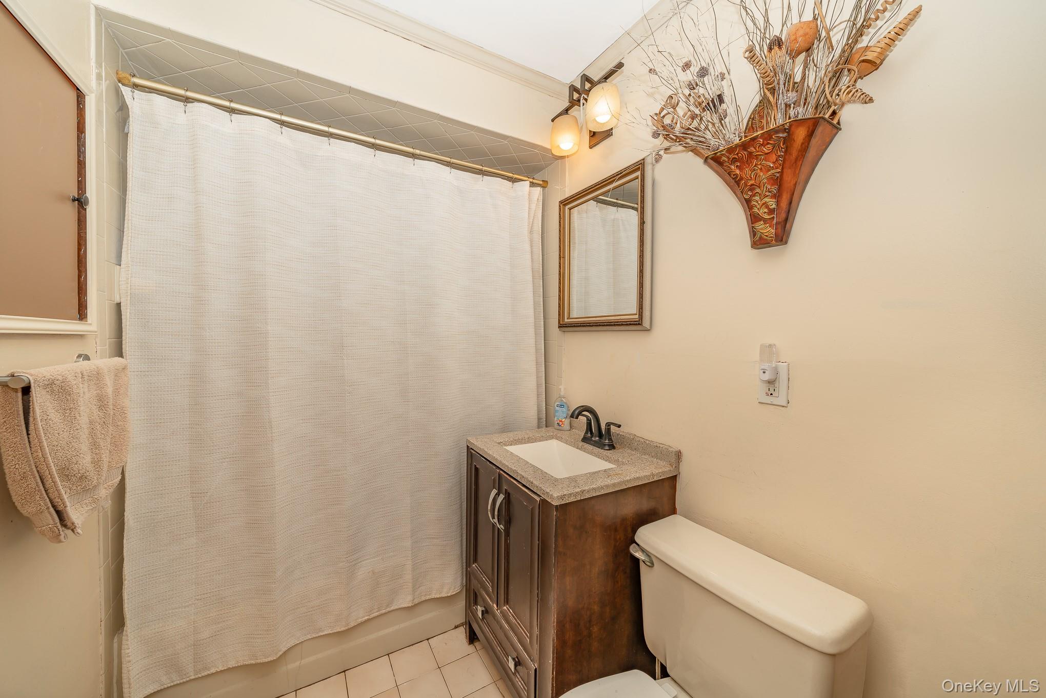 #9 photo, 44 Disc Lane, Wantagh , NY 11793