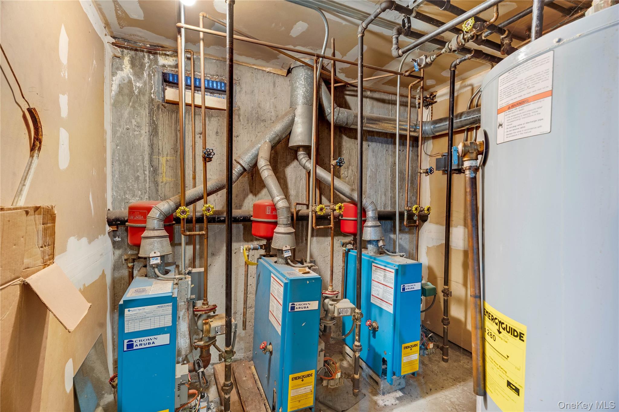 #16 photo, 2524 West Street, Brooklyn , NY 11223