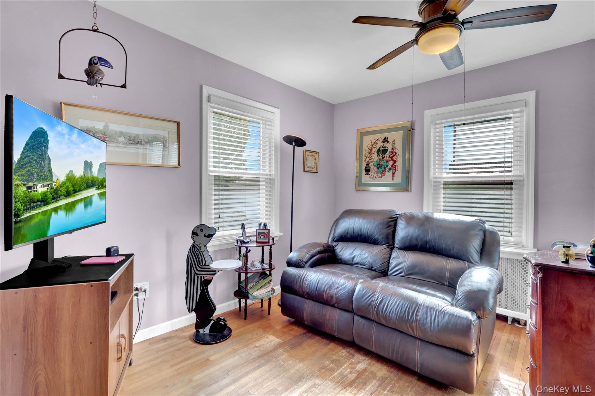 #13 photo, 1020 N 5th Street, New Hyde Park , NY 11040