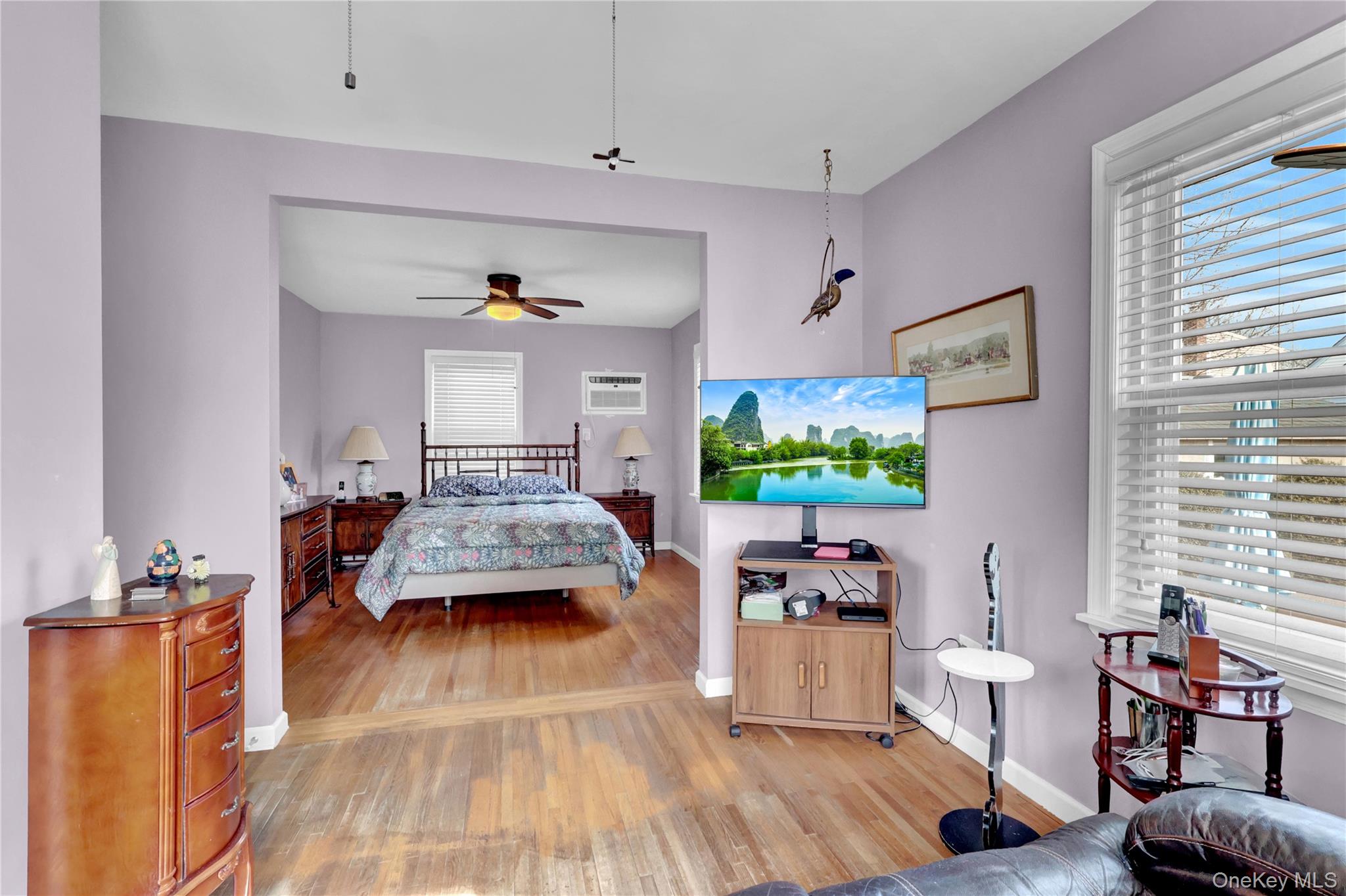 #15 photo, 1020 N 5th Street, New Hyde Park , NY 11040