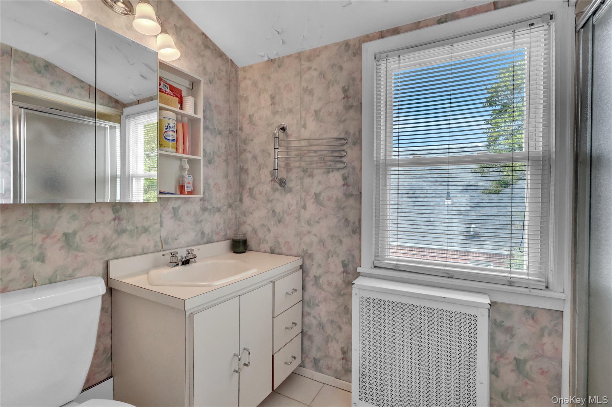 #18 photo, 1020 N 5th Street, New Hyde Park , NY 11040