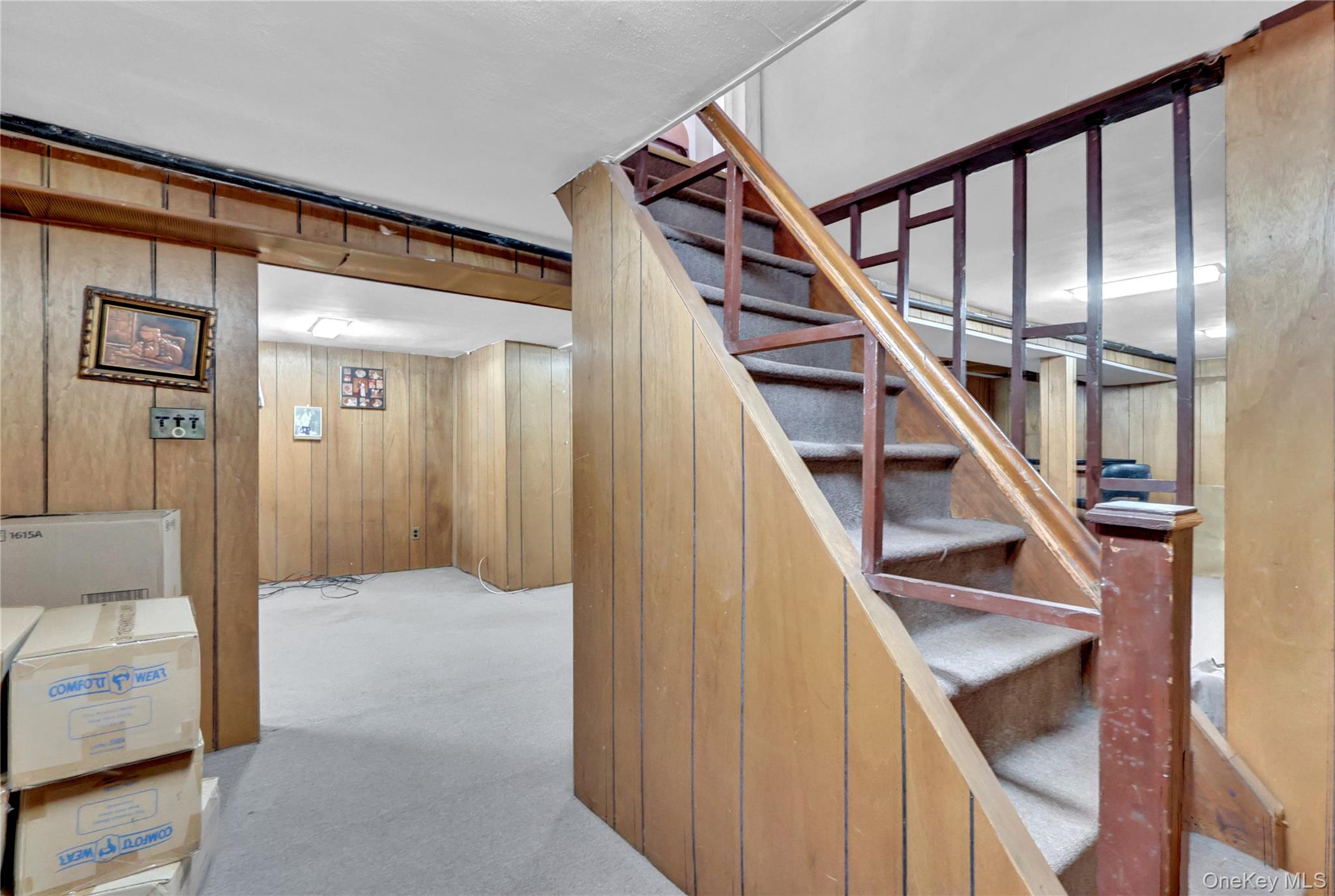 #19 photo, 1020 N 5th Street, New Hyde Park , NY 11040