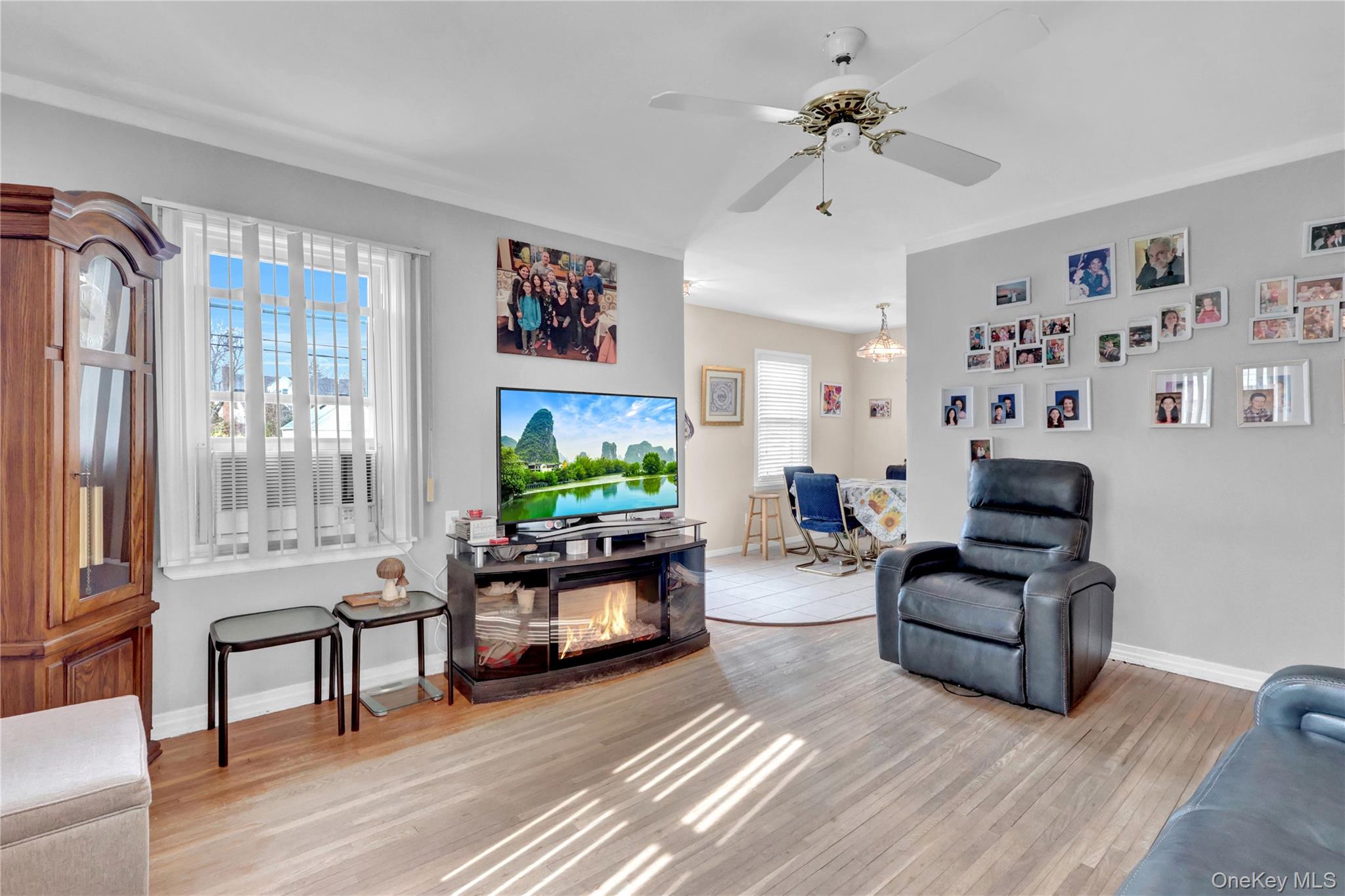 #5 photo, 1020 N 5th Street, New Hyde Park , NY 11040