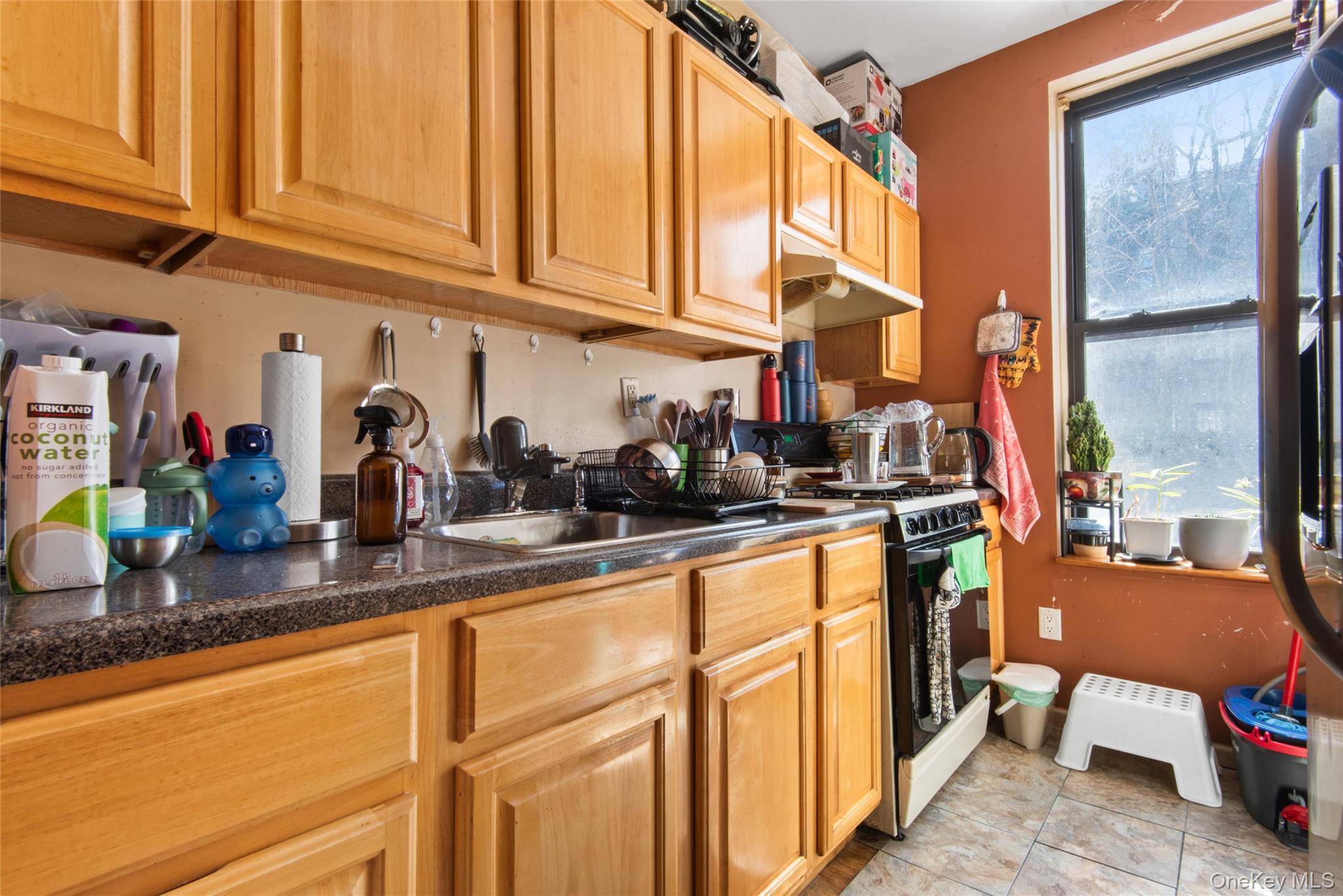 #11 photo, 244 45th Street, Бруклин ‖ Brooklyn , NY 11220