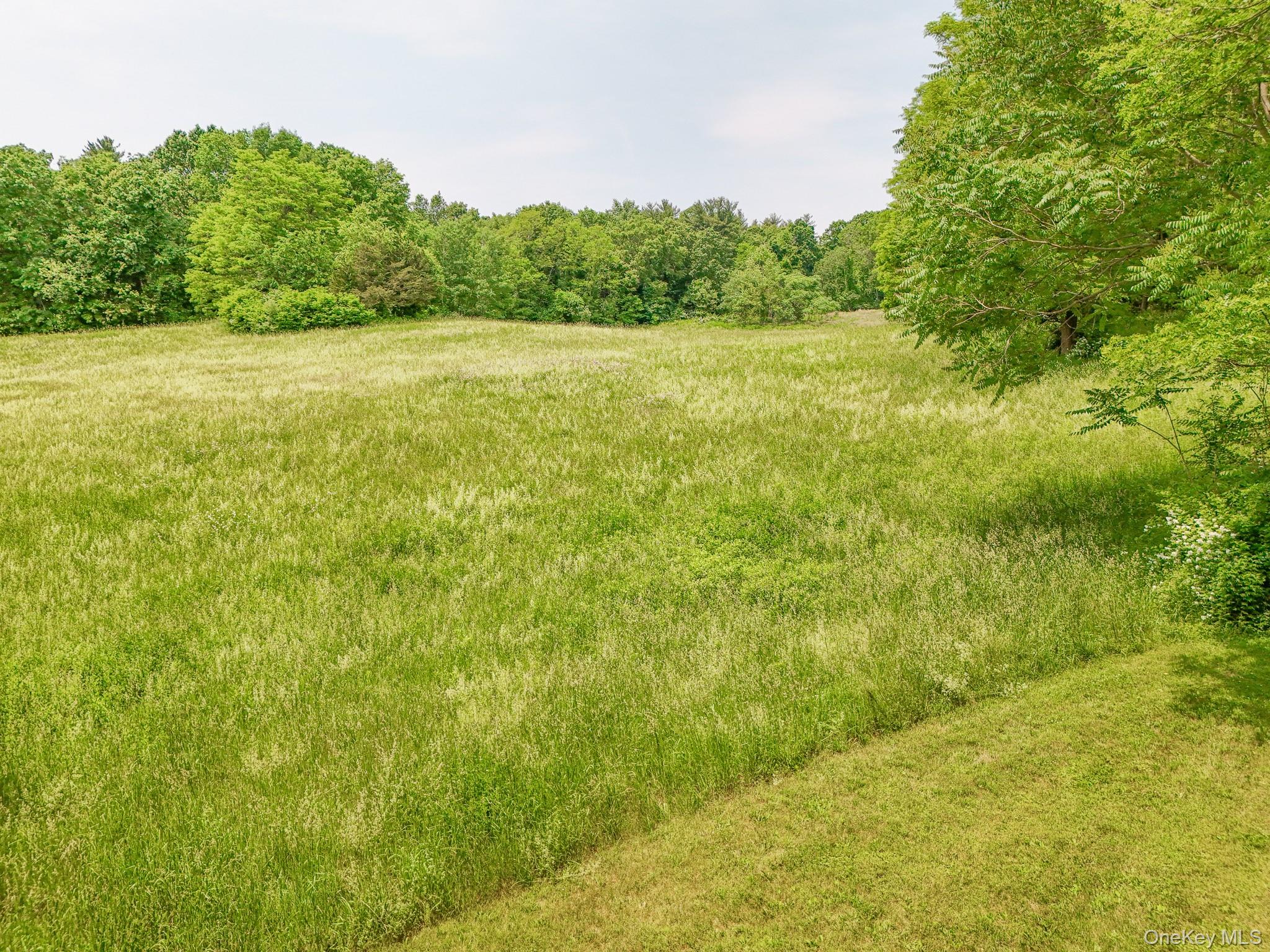 #2 photo, Off Pleasant Vale Road, 纽约州 Tivoli , NY 12583