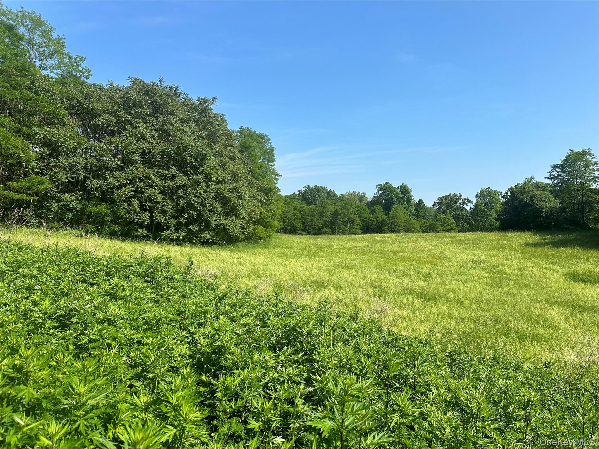 #5 photo, Off Pleasant Vale Road, 纽约州 Tivoli , NY 12583