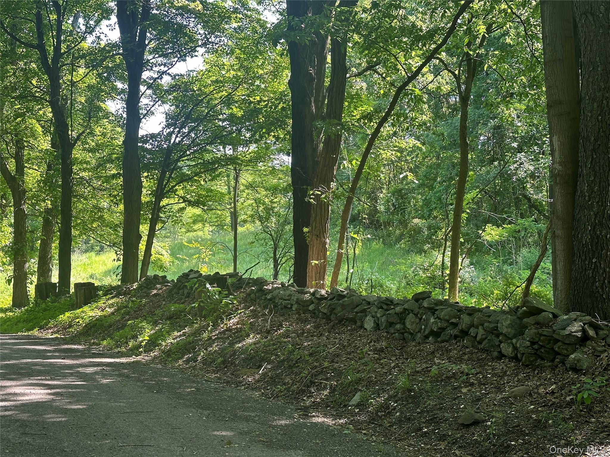 #6 photo, Off Pleasant Vale Road, 纽约州 Tivoli , NY 12583