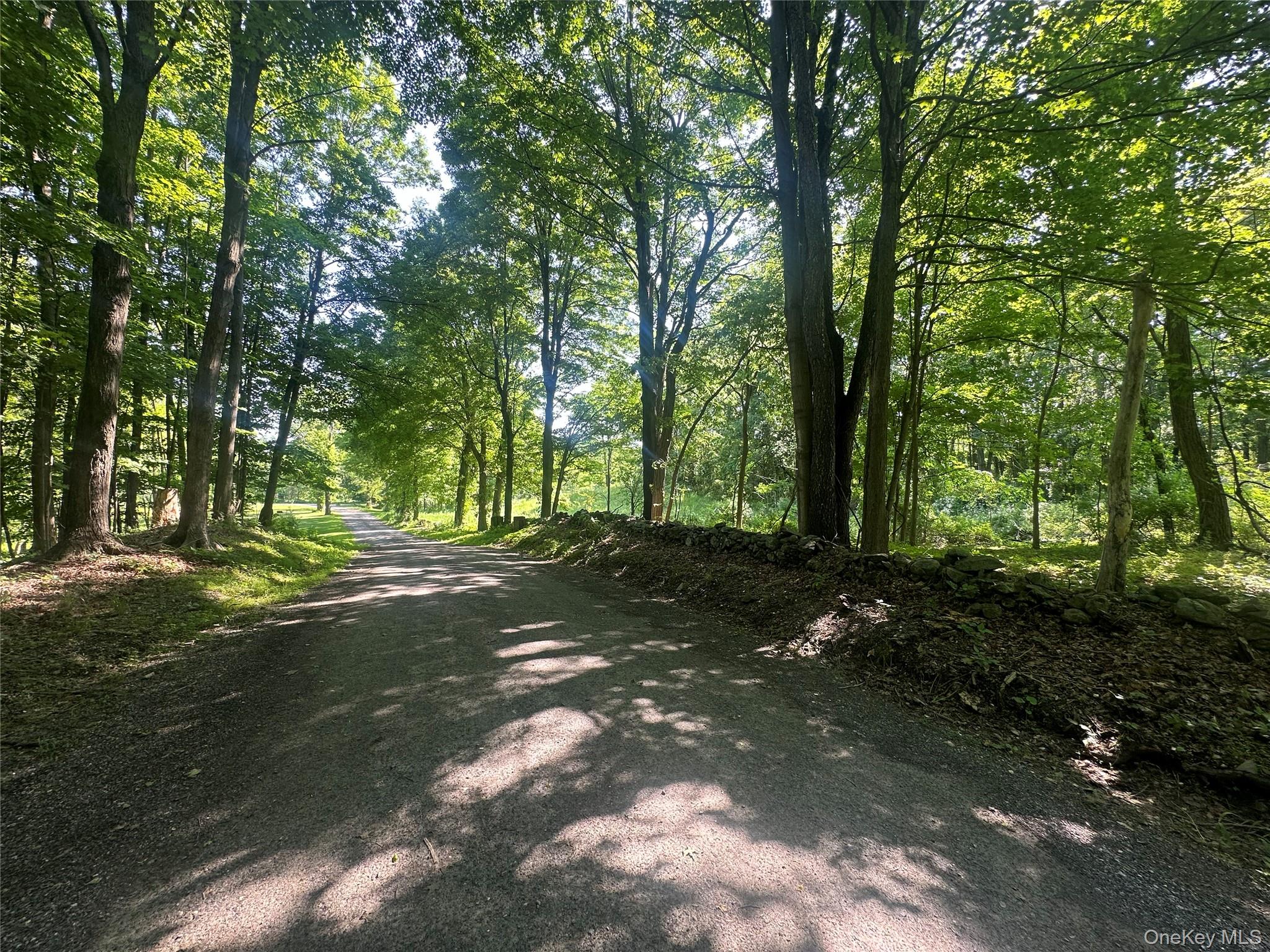 #7 photo, Off Pleasant Vale Road, 纽约州 Tivoli , NY 12583