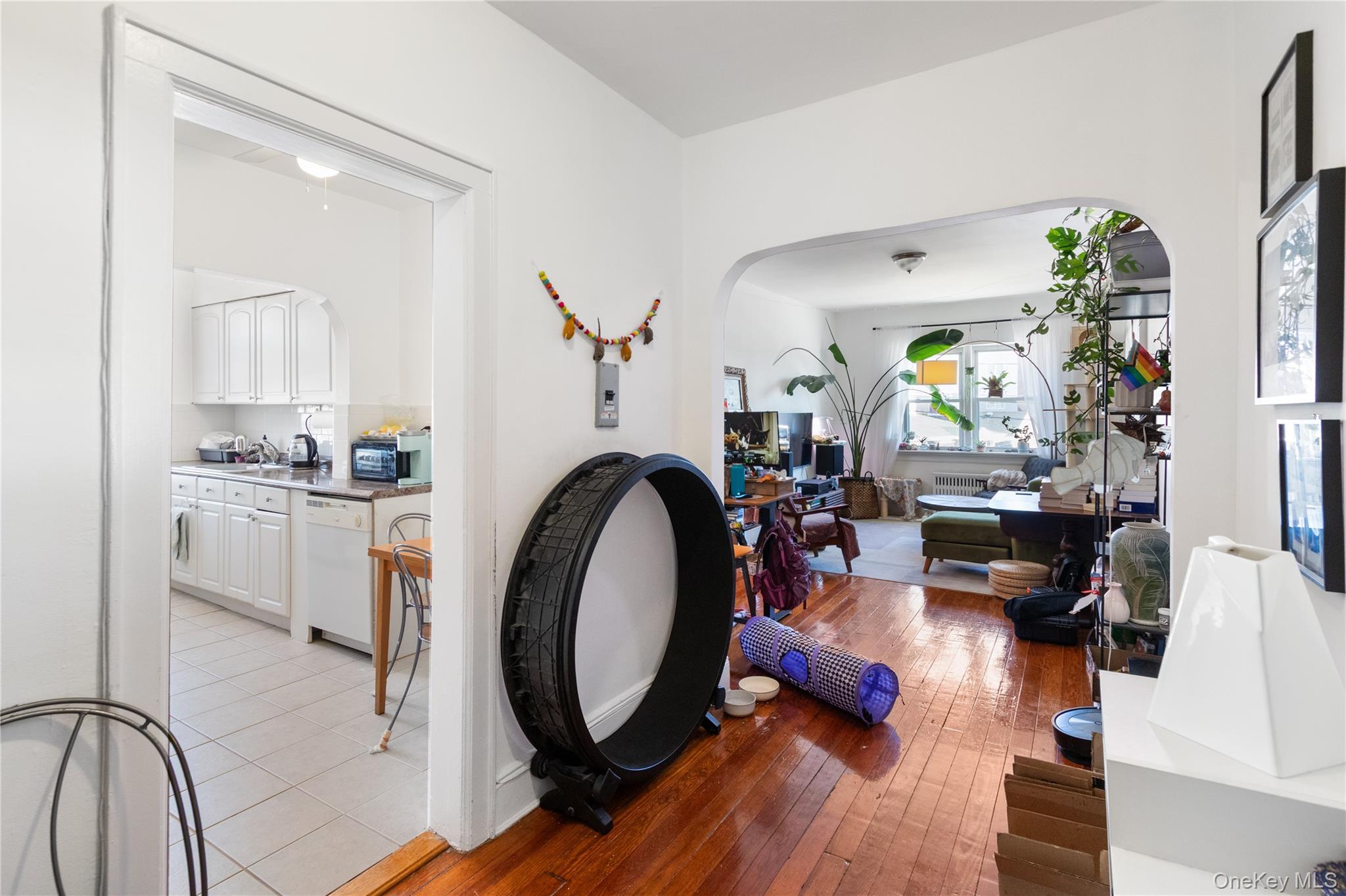 #8 photo, 146 Harrison Avenue, ناسو Mineola , NY 11501