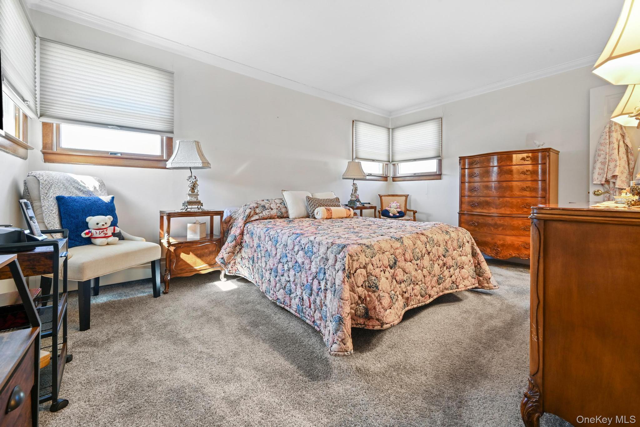 #15 photo, 3 Chapin, Farmingdale , NY 11735