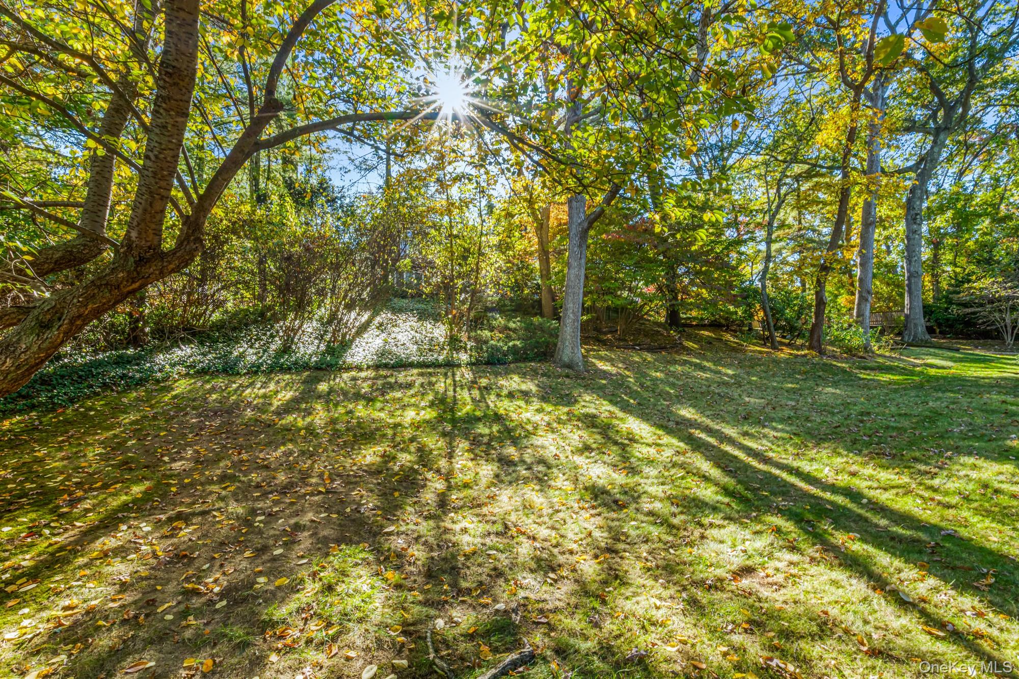 #10 photo, 29 Winter Lane, Dix Hills , NY 11746