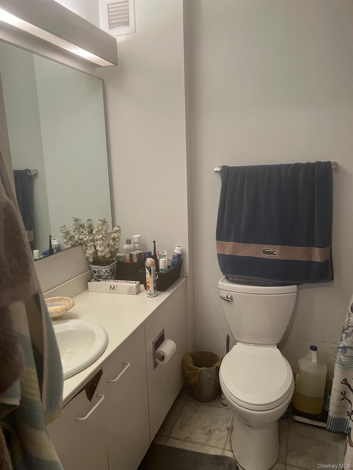 #17 photo, 330 E 38th Street, New York (Manhattan) , NY 10016