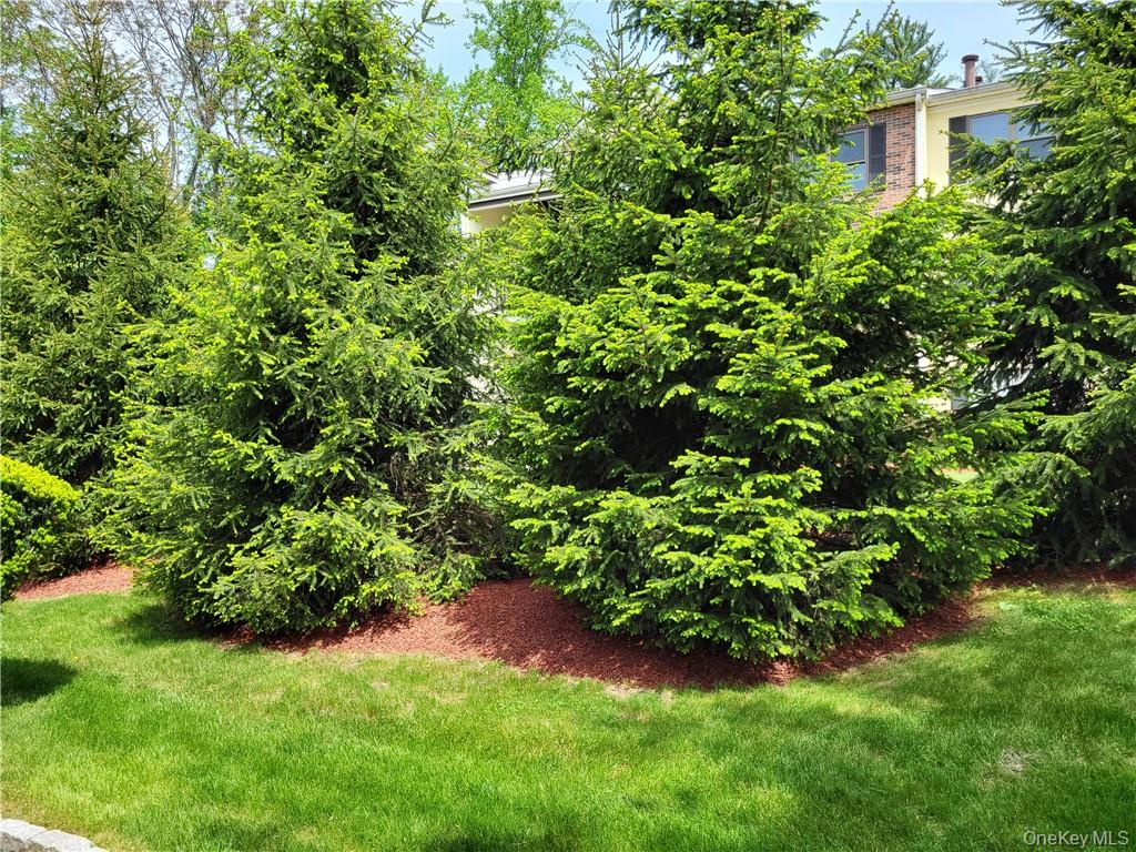 #14 photo, 79 Winchester Avenue, Peekskill , NY 10566