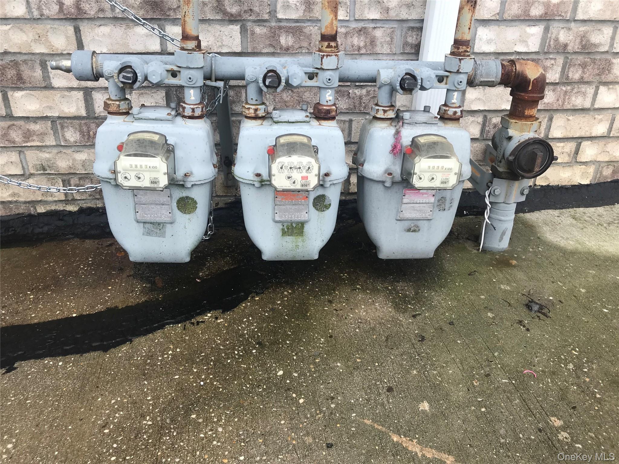 #17 photo, 1754 Givan Avenue, برونكس Bronx , NY 10469