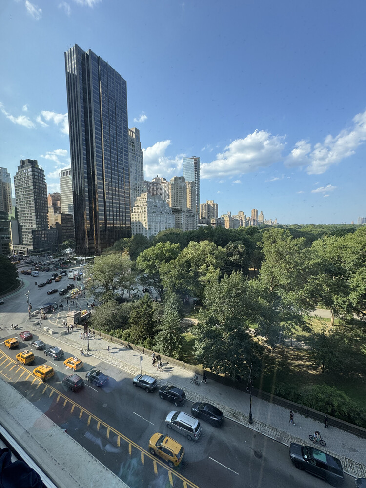 #14 photo, New York City, 맨해튼 Central Park South , NY 10019