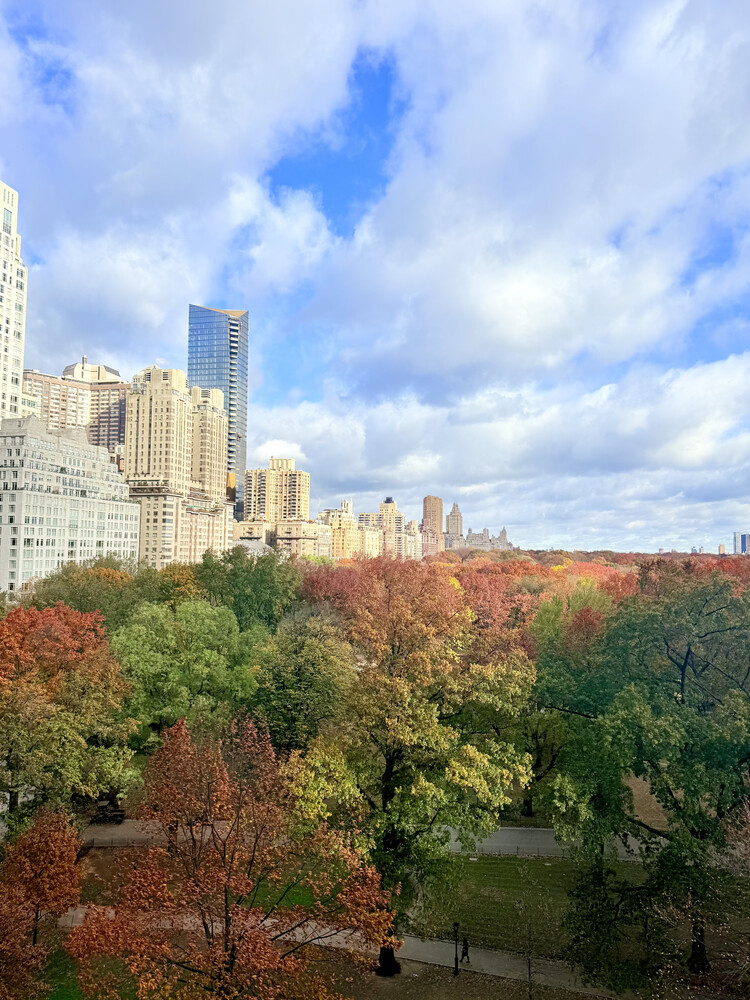 #15 photo, New York City, 맨해튼 Central Park South , NY 10019