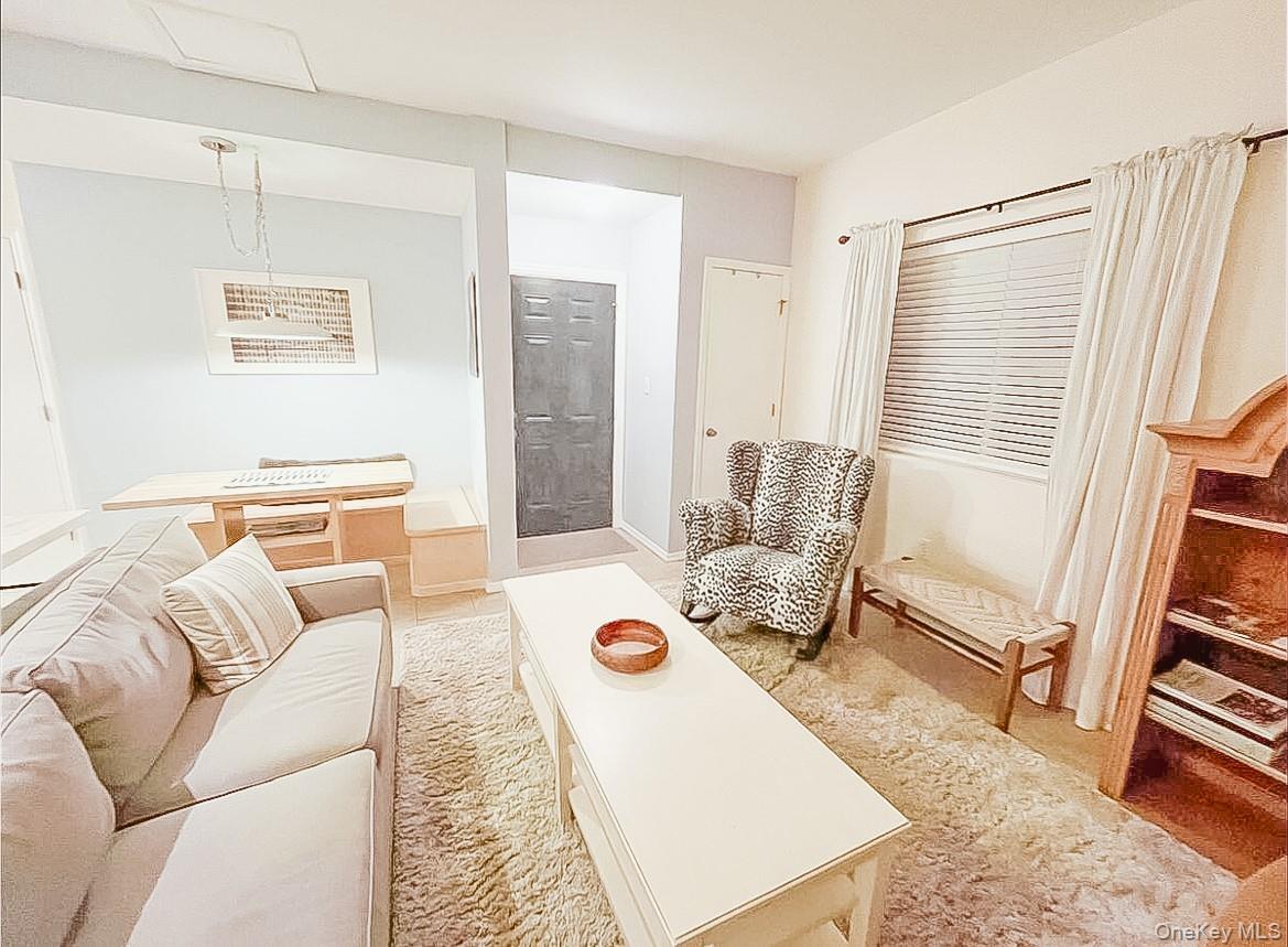 #5 photo, 23 Pearl Street, Livingston Manor , NY 12758